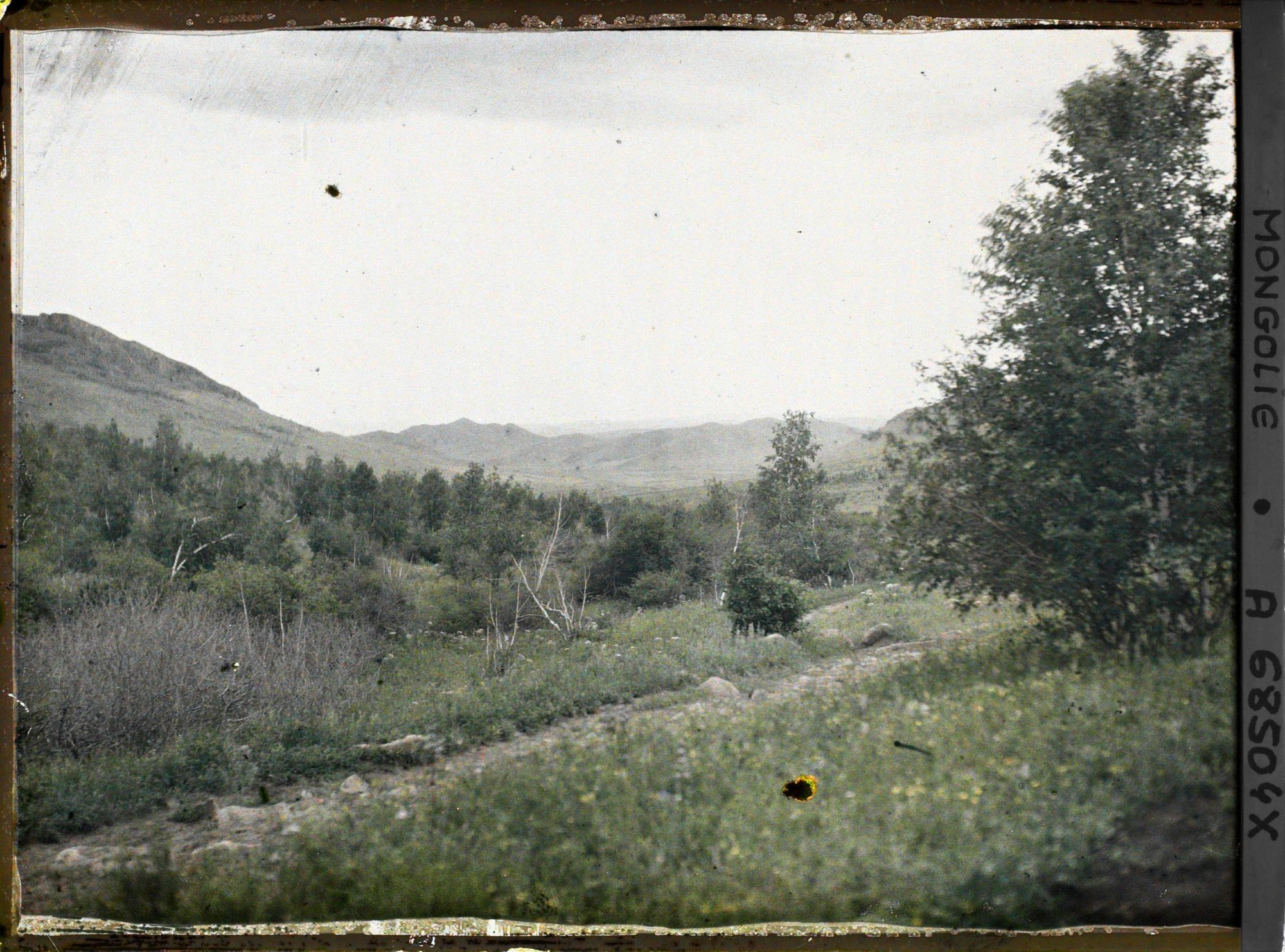 Image représentant Vue de la taïga avec des montagnes à l'arrière-plan