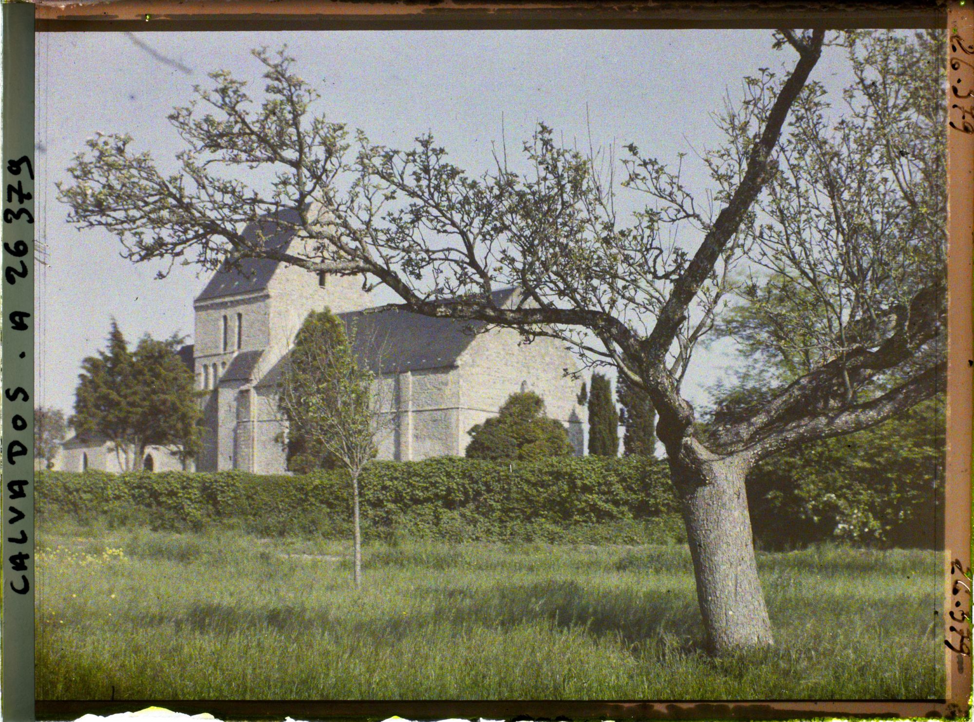Image représentant L'église