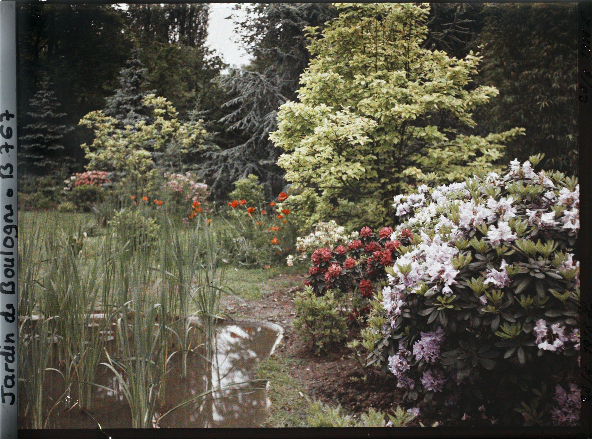 Image représentant Le marais