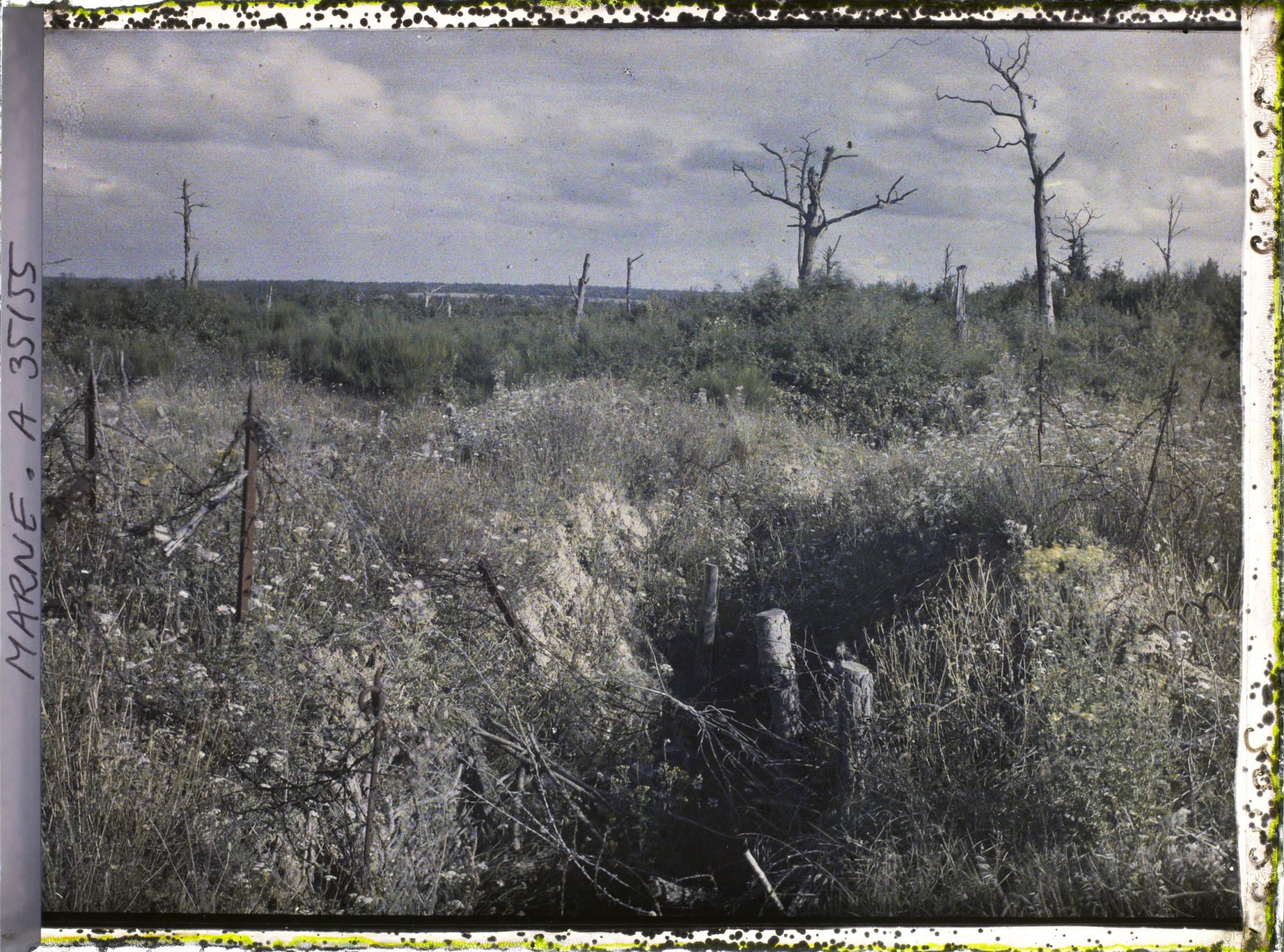 Image représentant France, Vienne le Château , Tranchée au Bois de la Gruerie, à l'est de la route de Binarville