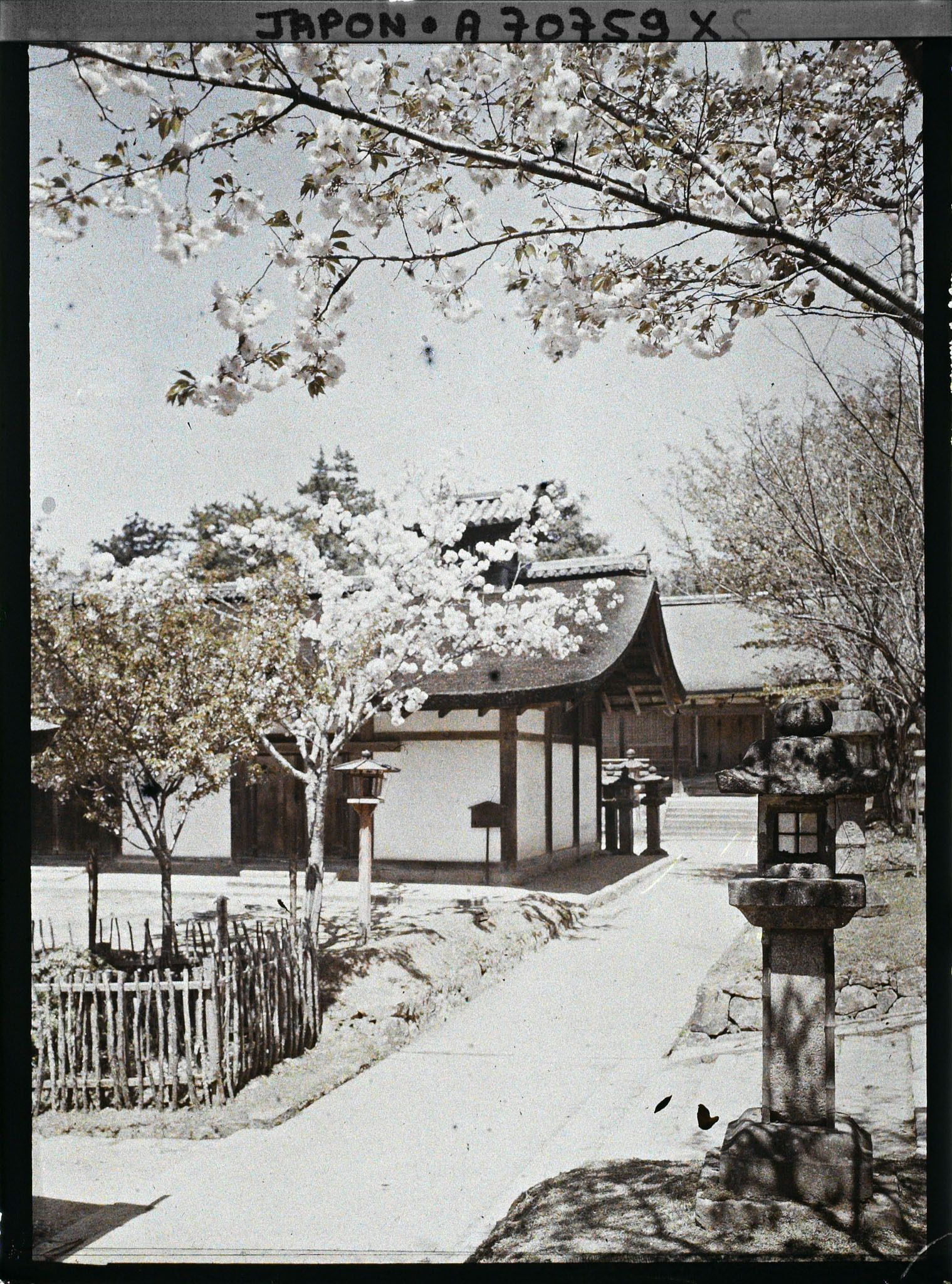 Image représentant Sanctuaire Kasuga-Jinja (ou Kasuga-Taisha) : Le Sakadono et le Keishoden.