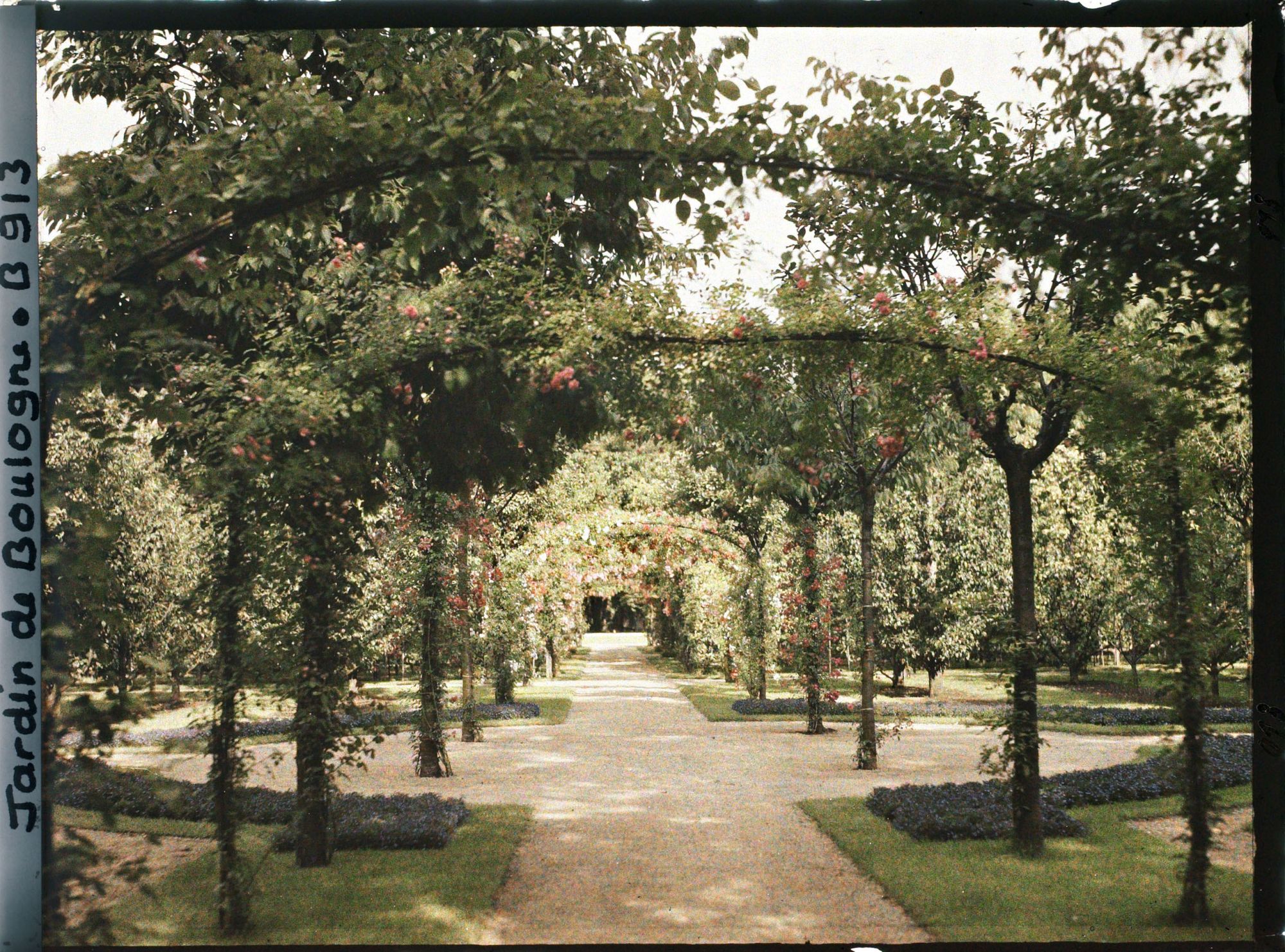 Image représentant Axe central du verger-roseraie vu en direction du jardin anglais, près du rond-point côté dépendance