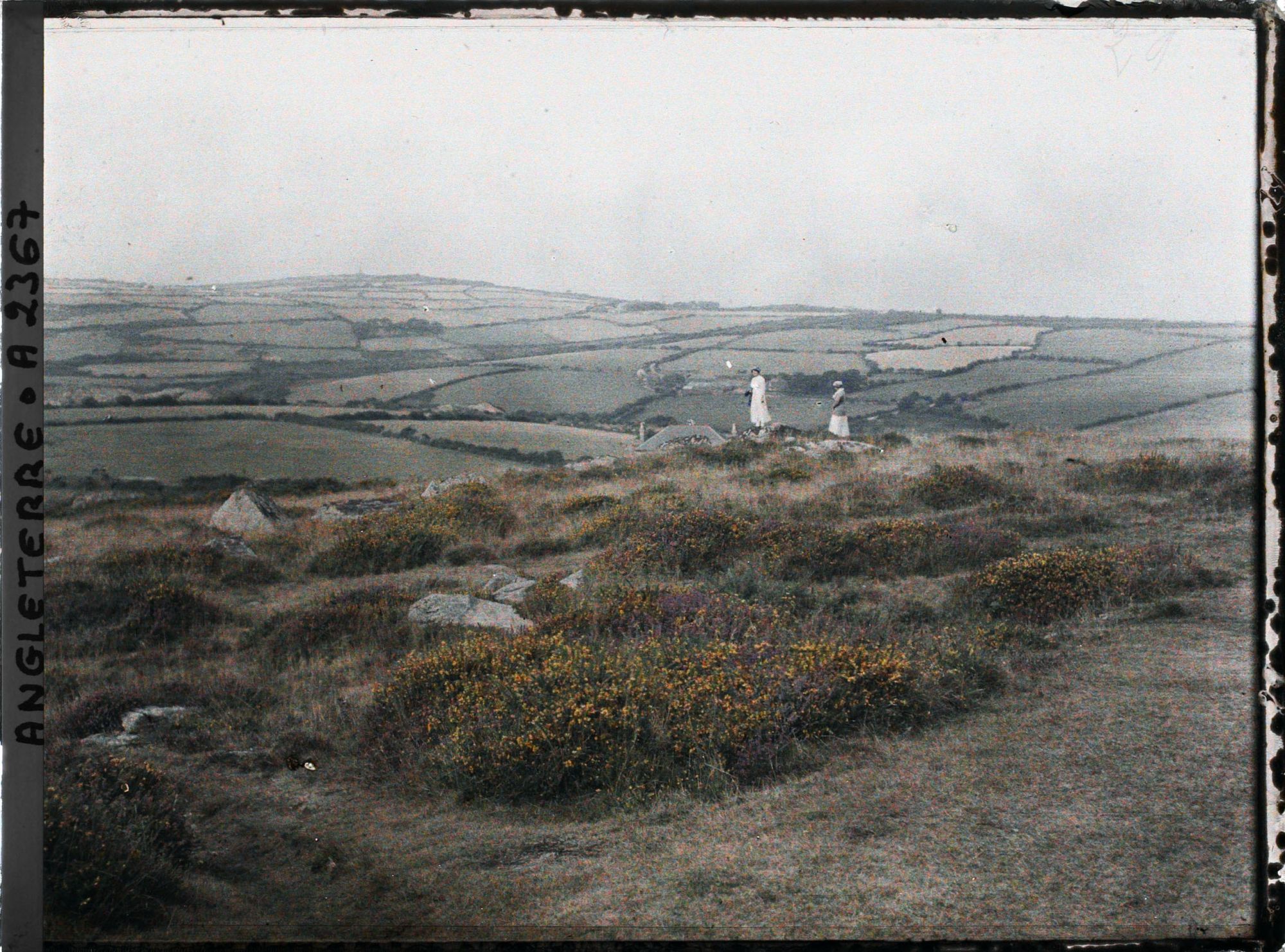 Image représentant Deux demoiselles sur un promontoire