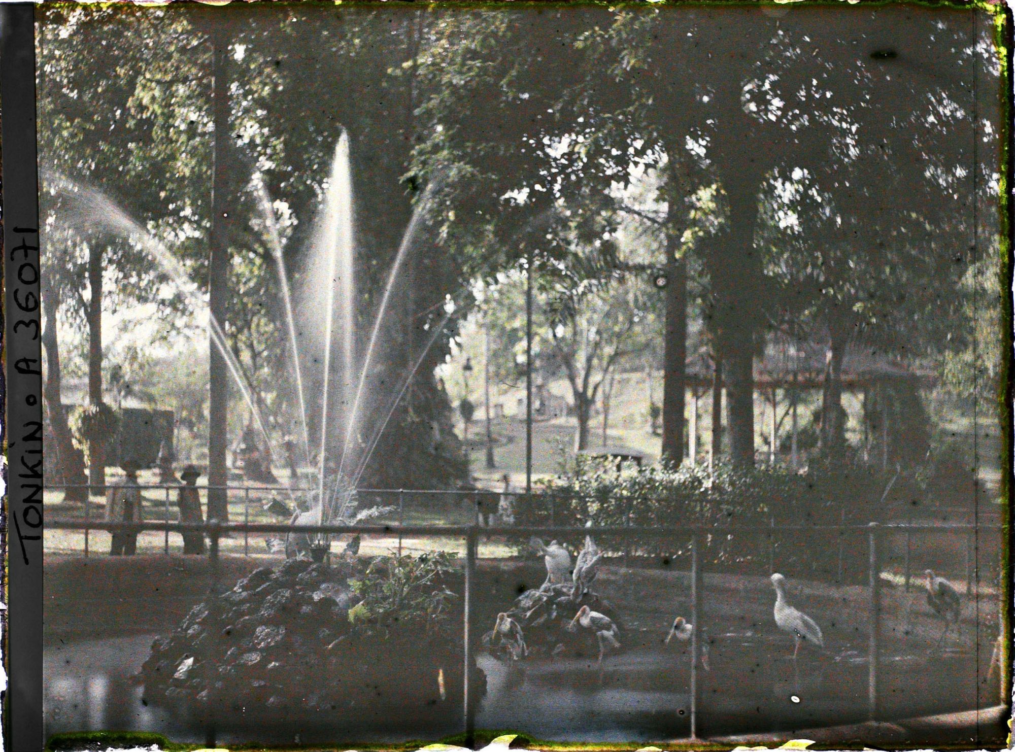 Image représentant Un bassin avec jet d'eau dans un parc