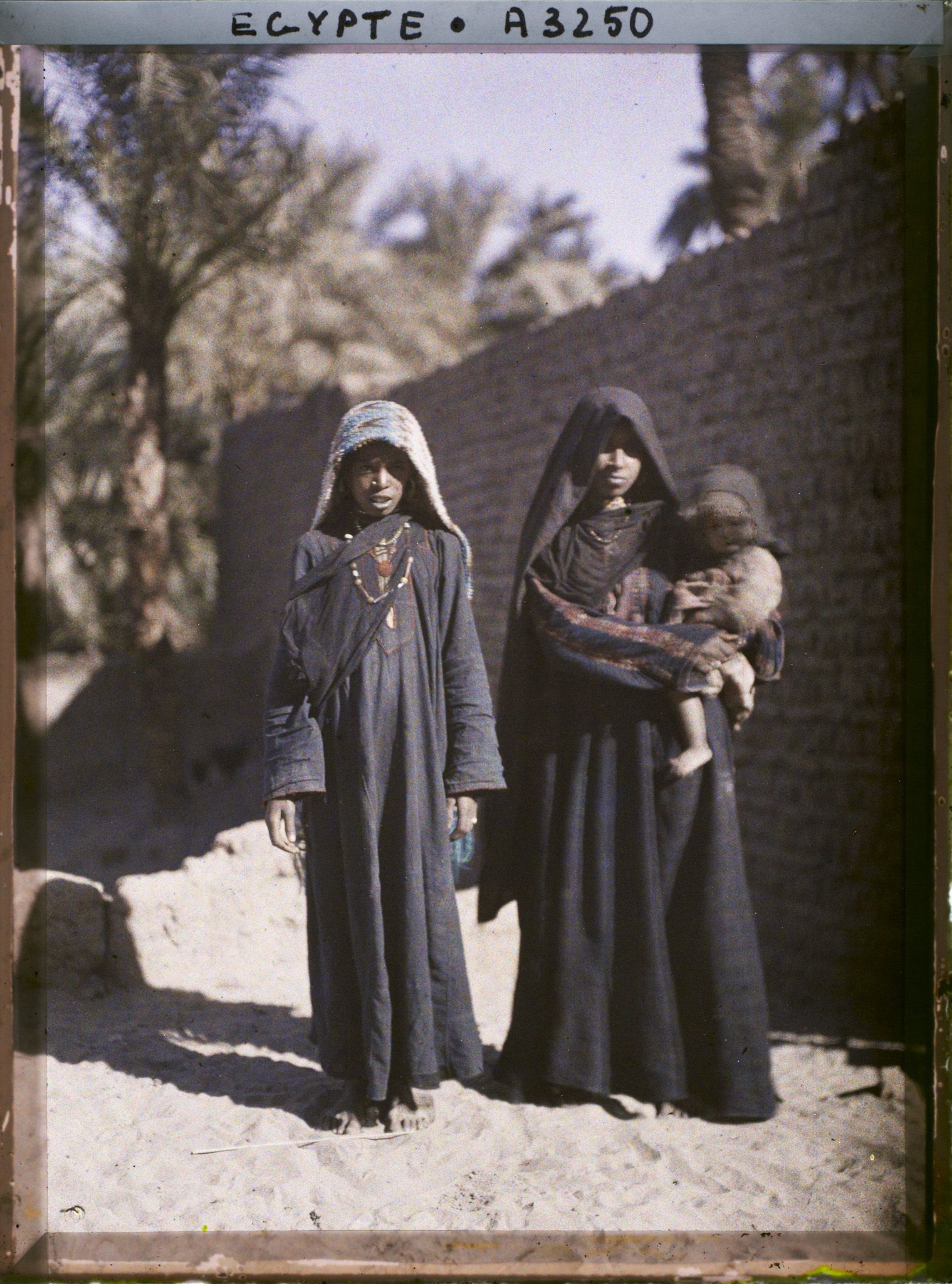 Image représentant Femmes d'Assouan