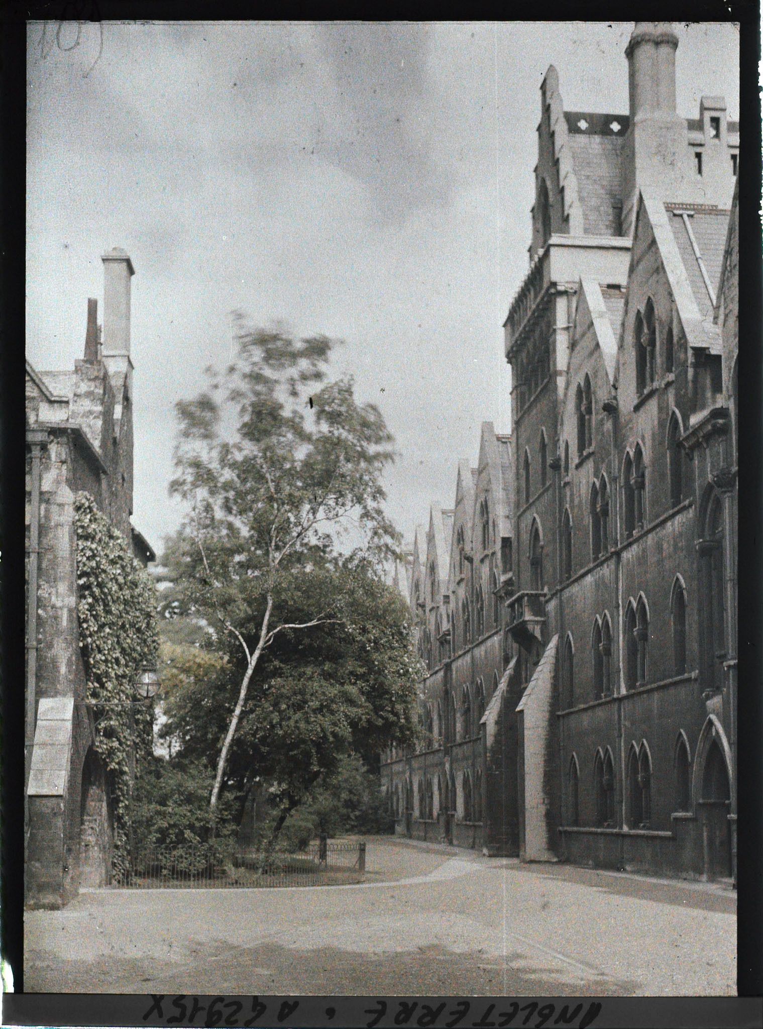 Image représentant Partie occidentale de Christ Church