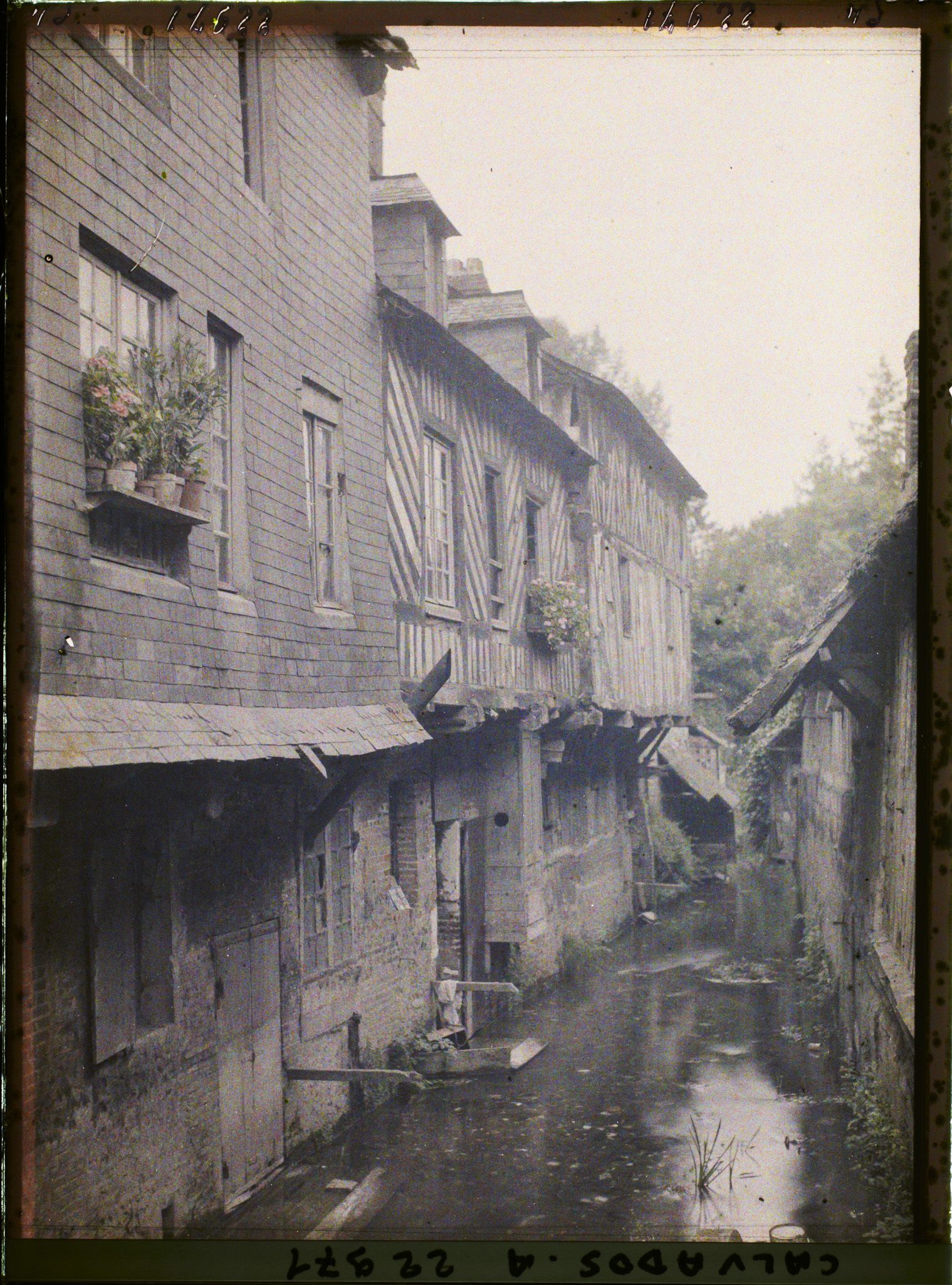 Image représentant Un petit bras de la Touques