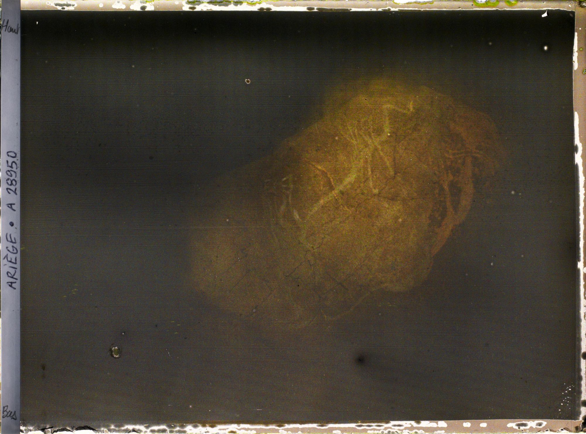 Image représentant La grotte des Trois-Frères : le bison