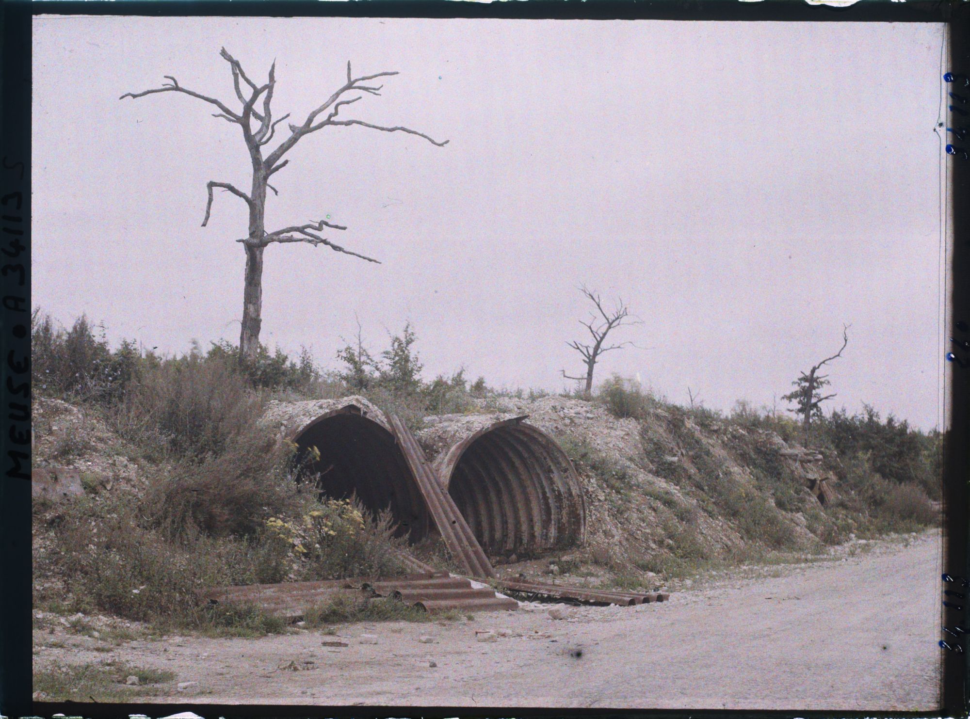 Image représentant France, Verdun, Abris et arbres morts sur la route avant le Cimetière