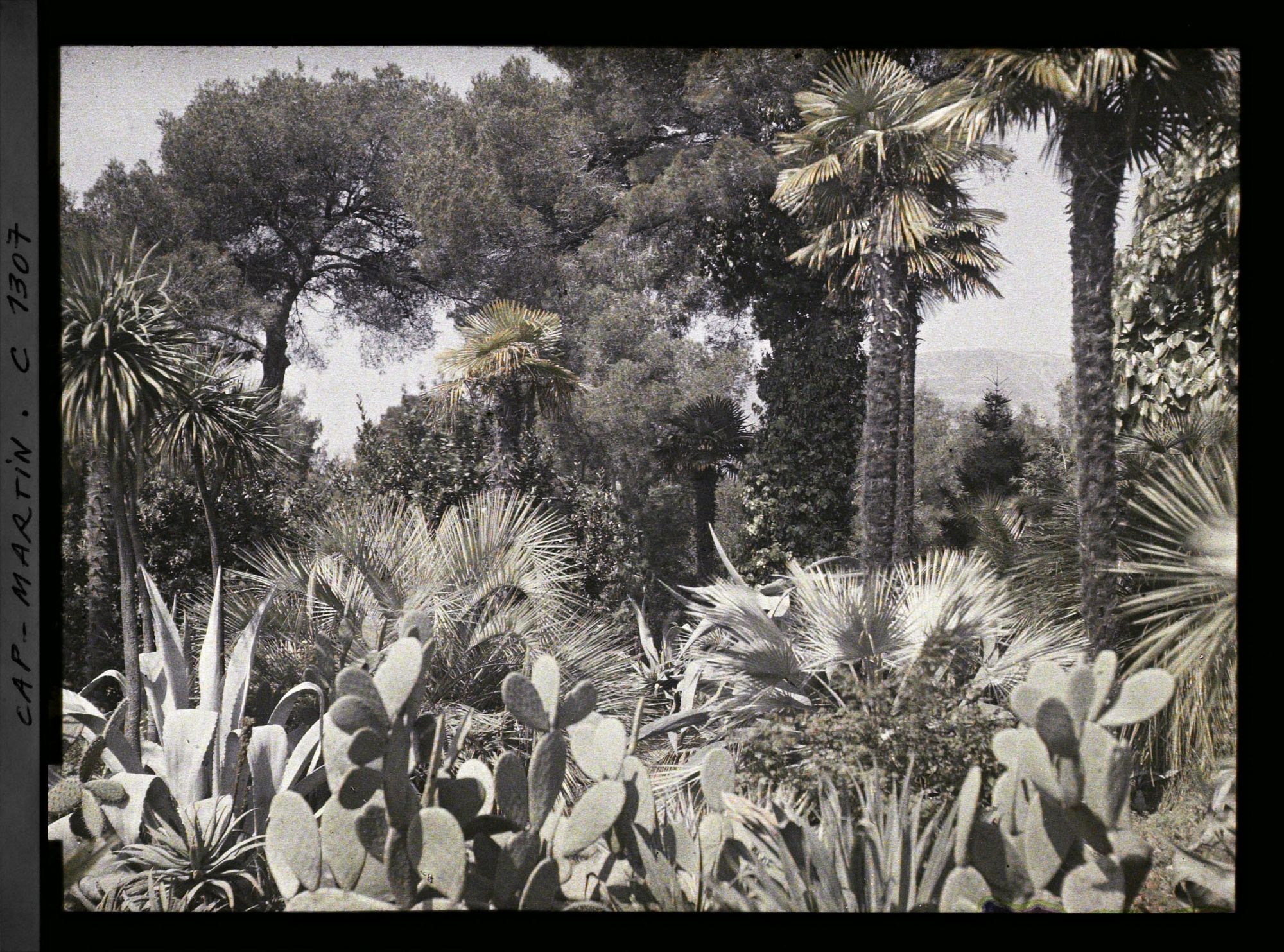 Image représentant Le Jardin