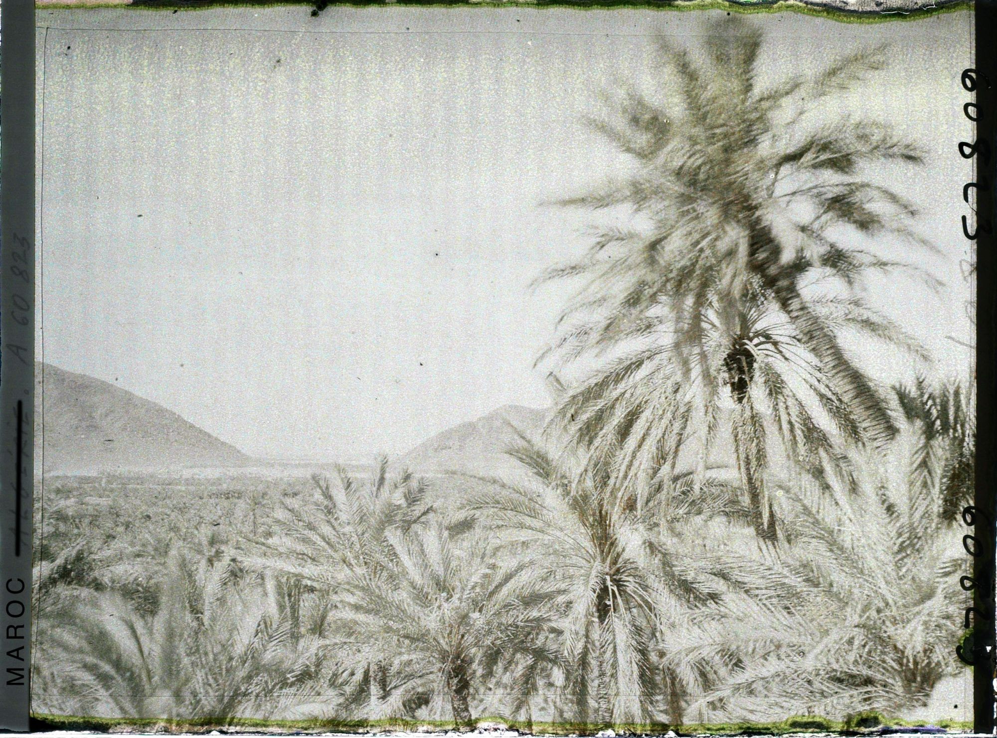 Image représentant Vue de l'oasis et du col de Zenaga