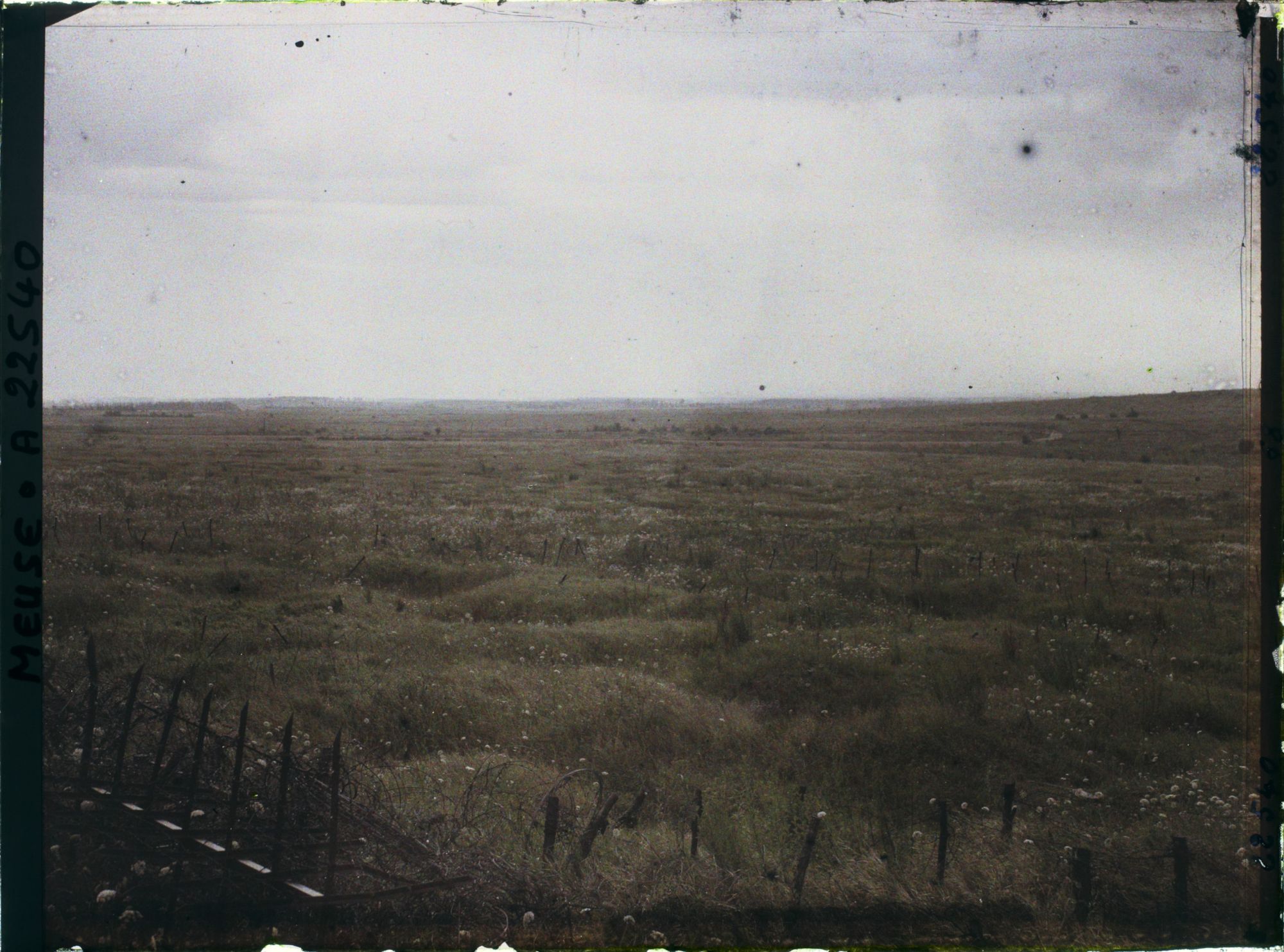 Image représentant France, Vaux, Plume de la Woëvre vue du ravin de Vaux