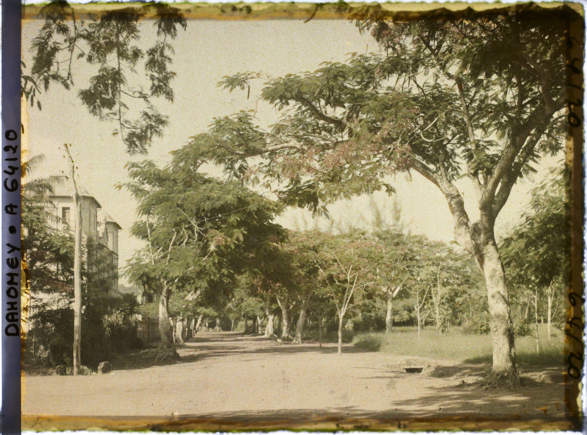 Image représentant Une allée de la Résidence du gouverneur