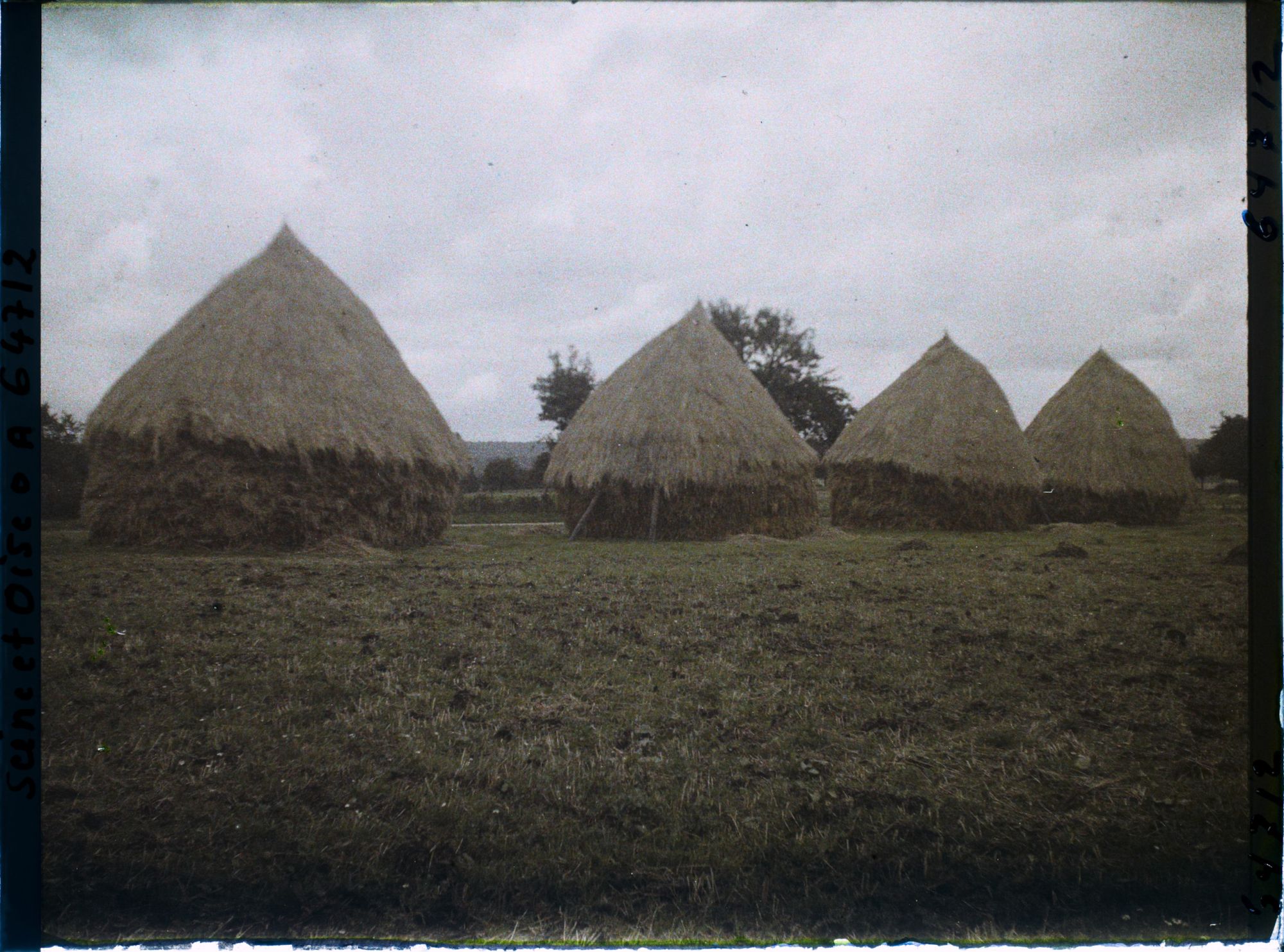 Image représentant Ile de France, Mafliers, Groupe de meules de blé