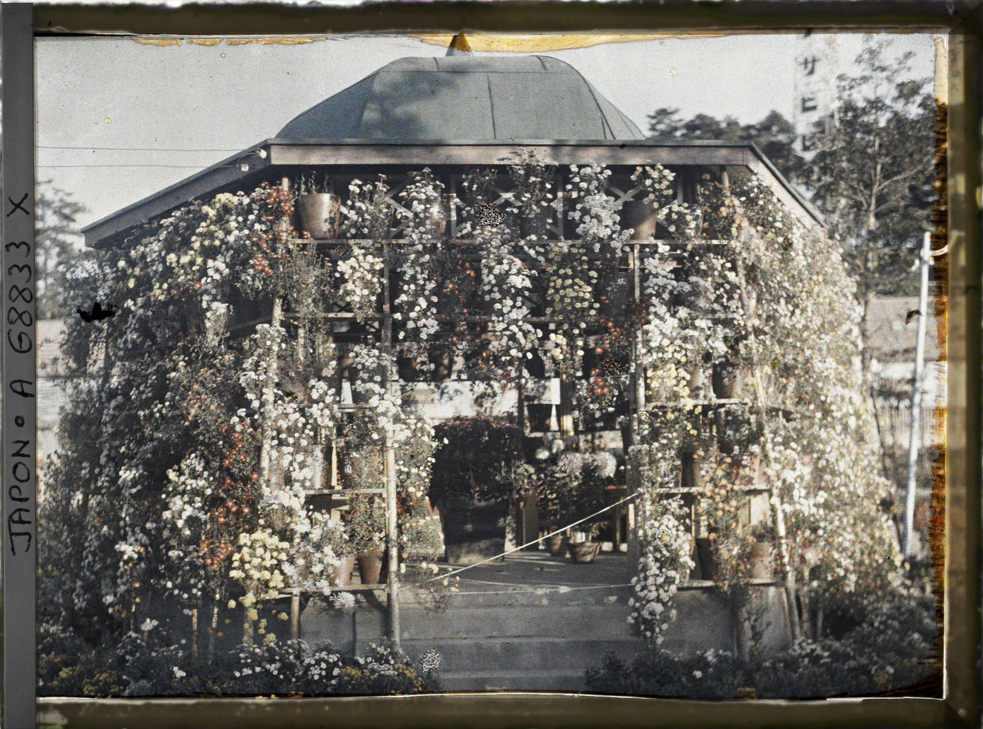 Image représentant Kiosque décoré de chrysanthèmes