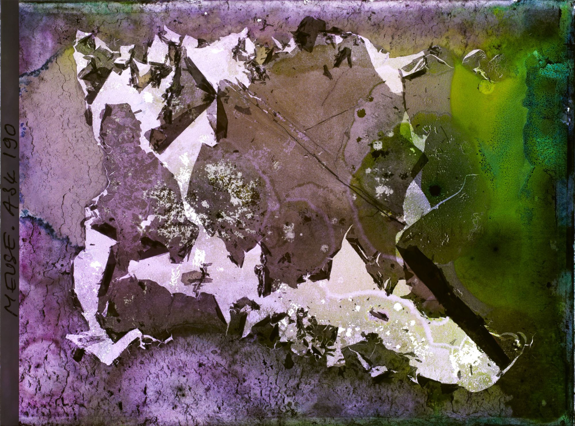 Image représentant France, Bois-Yuca, Vue panoramique du Bois Yuca prise de l'Ouest