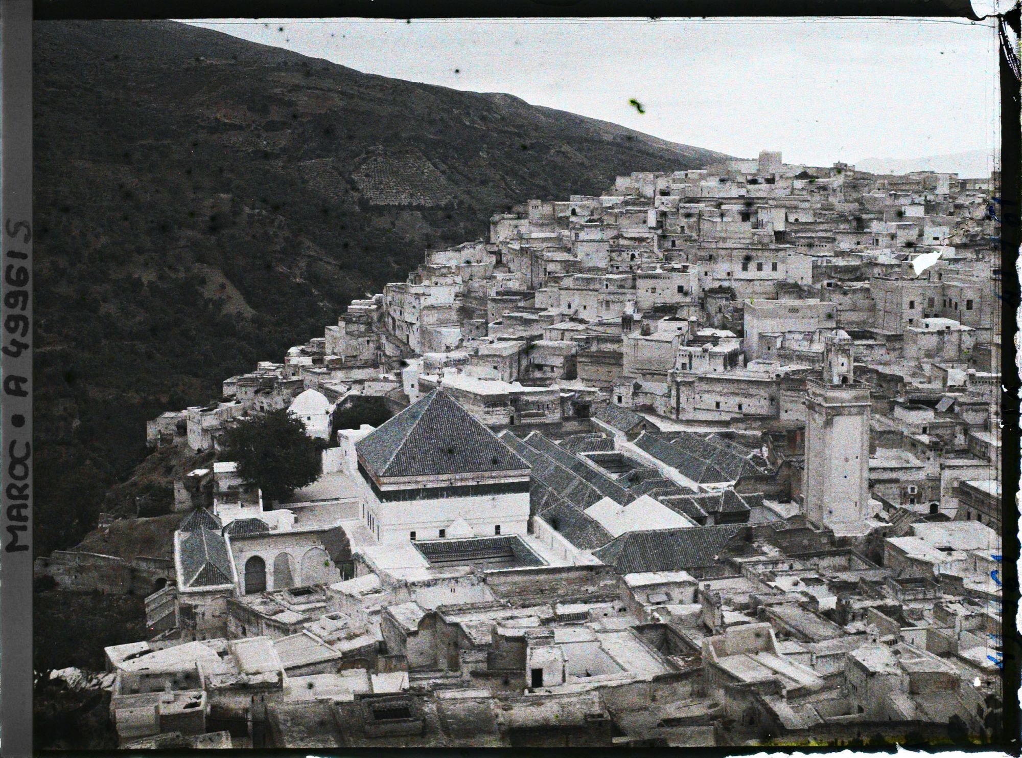 Image représentant La mosquée de Moulay Idriss