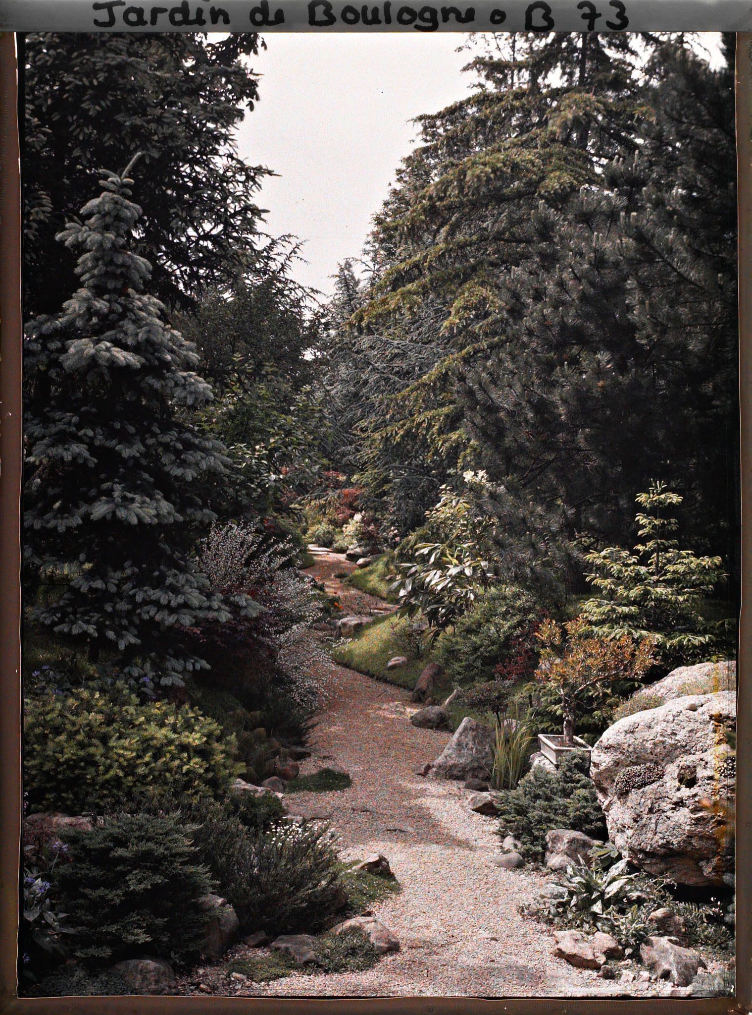 Image représentant Étroit chemin du " sanctuaire japonais " serpentant non loin du verger-roseraie ?