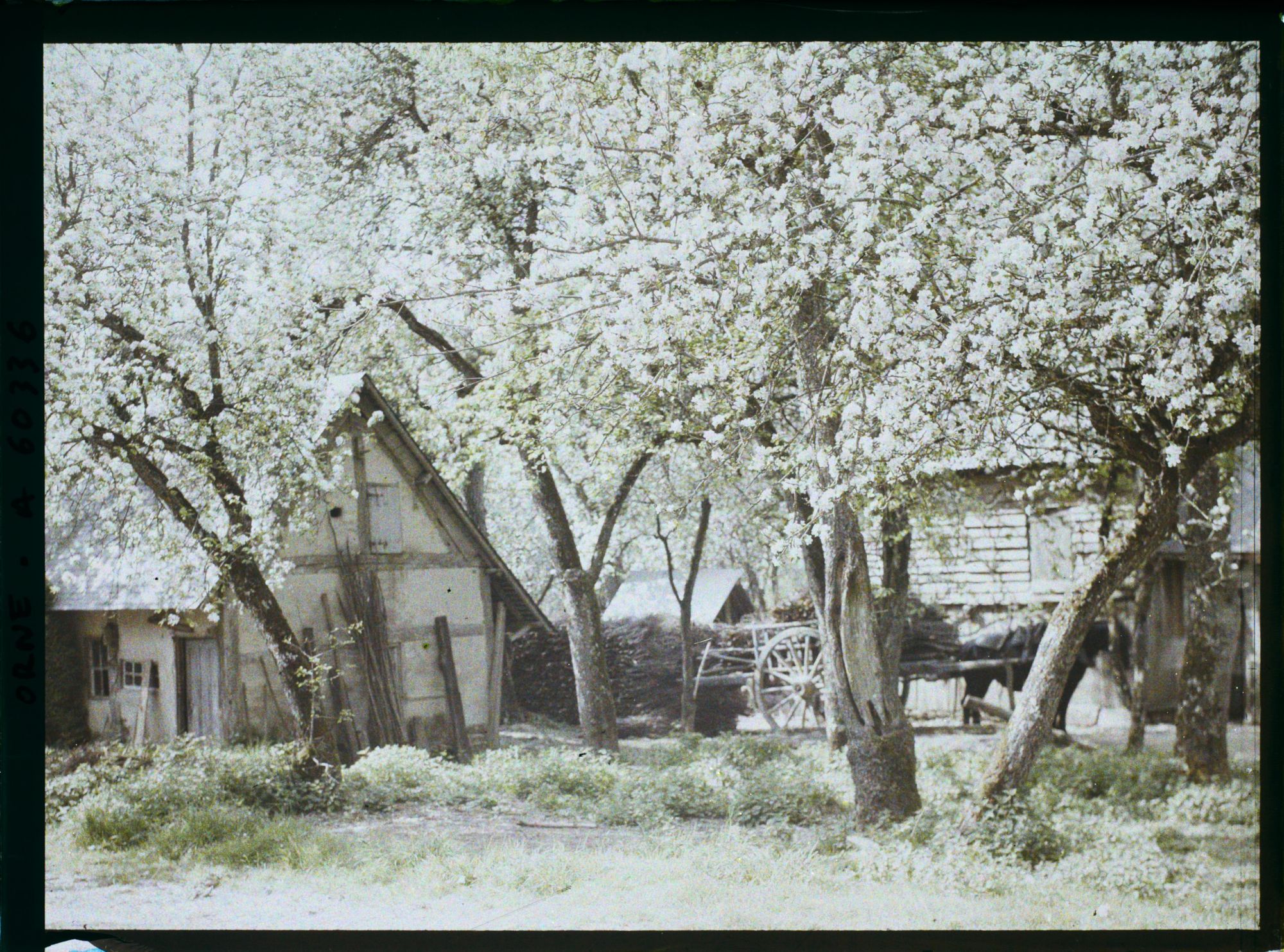 Image représentant Entrée d'une ferme