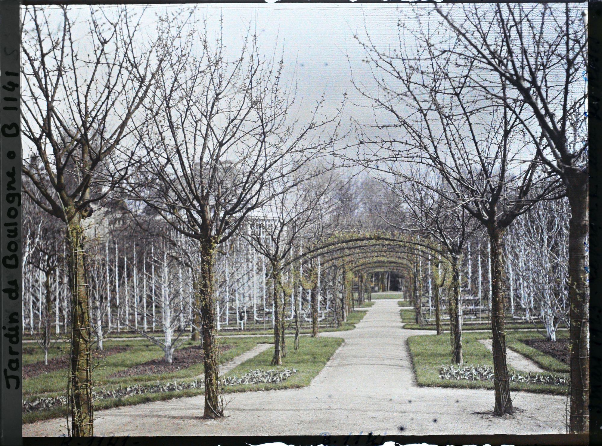 Image représentant Axe central du verger-roseraie vu en direction du jardin anglais depuis le rond-point côté dépendance