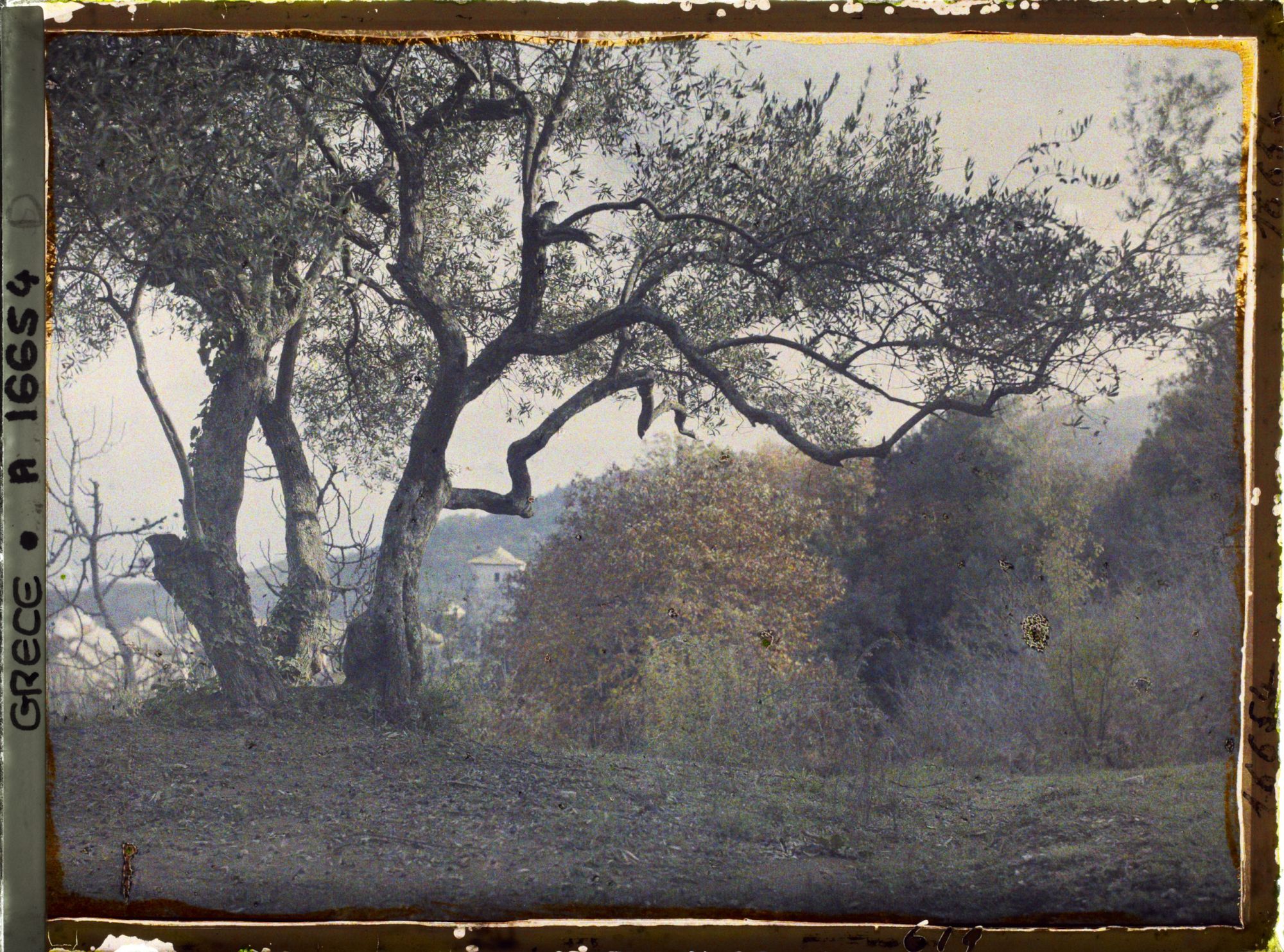 Image représentant Turquie, Mont Athos, Stravonikita, Paysage à Couthoumousson