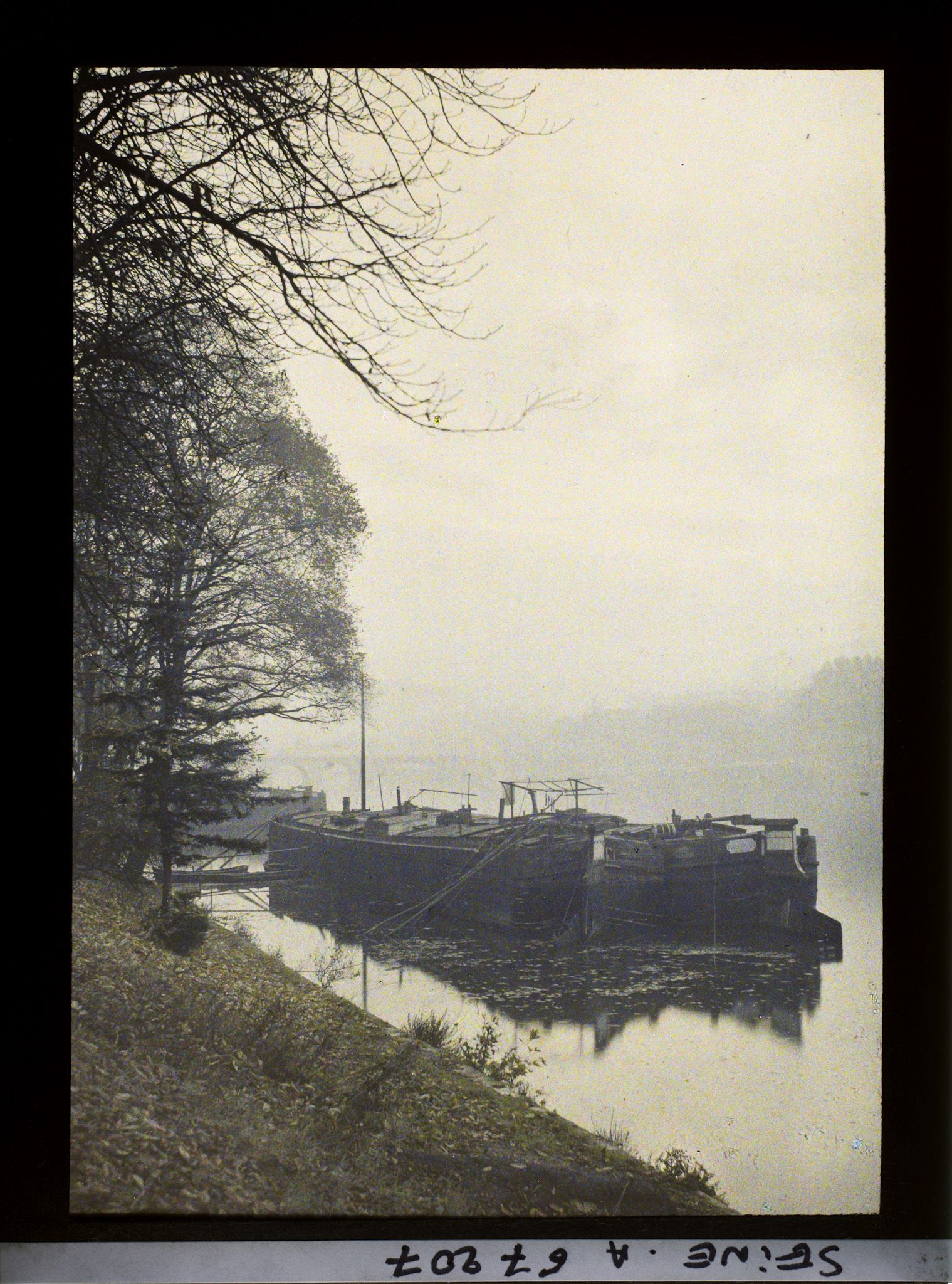 Image représentant Bords de Seine