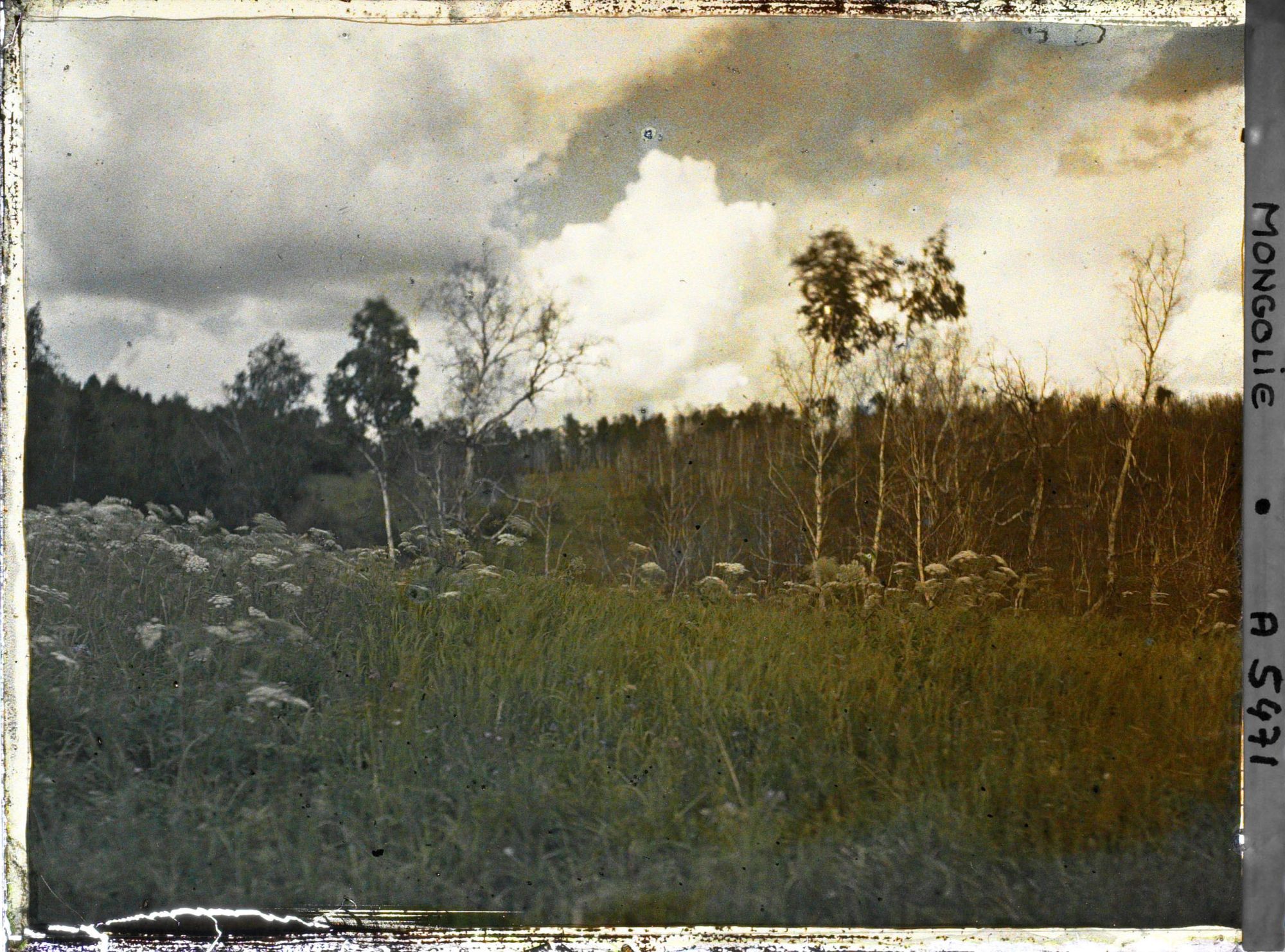 Image représentant Paysage de type sibérien