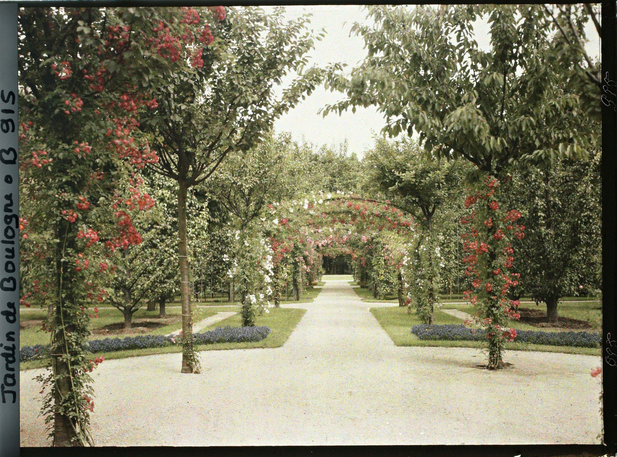 Image représentant Axe central du verger-roseraie vu en direction du jardin anglais depuis le rond-point côté dépendance