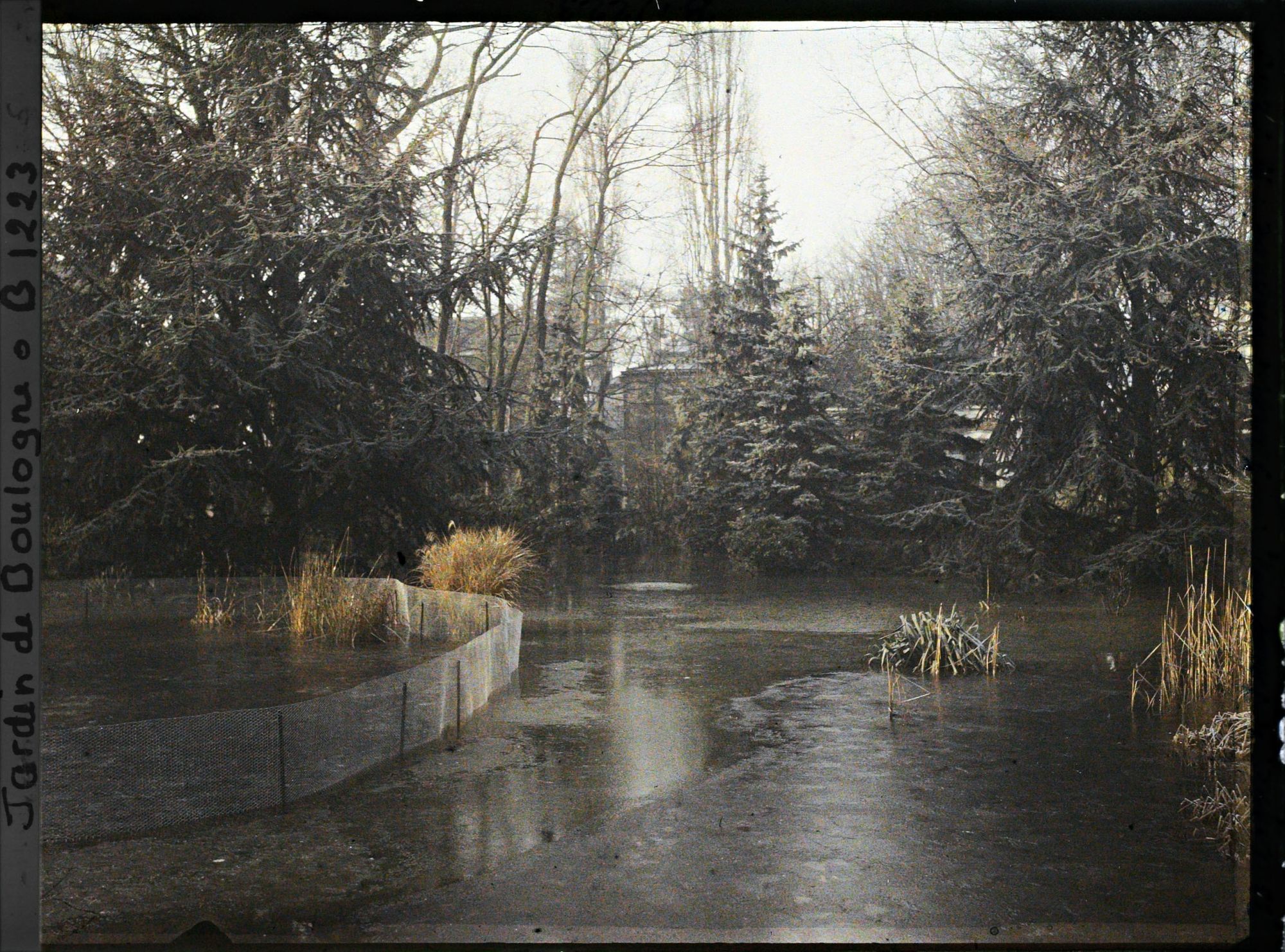 Image représentant Le marais inondé