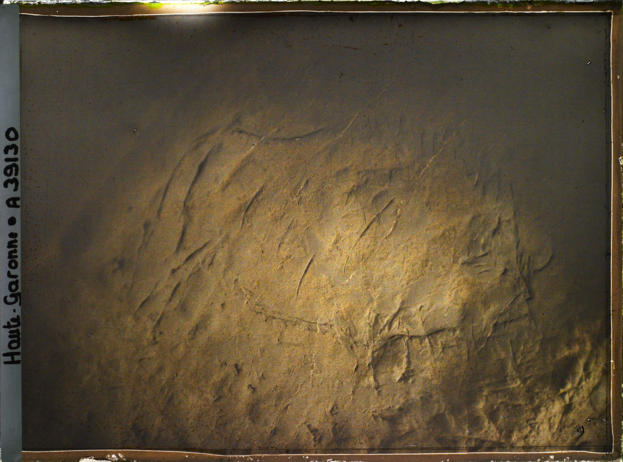 Image représentant France, Montespan (Hte Garonne), Grotte de Montespan Le Bison