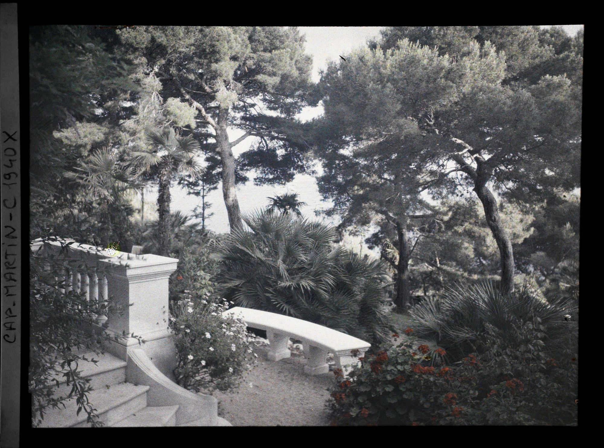 Image représentant La mer vue à travers la végétation, depuis le perron de la villa Miramar