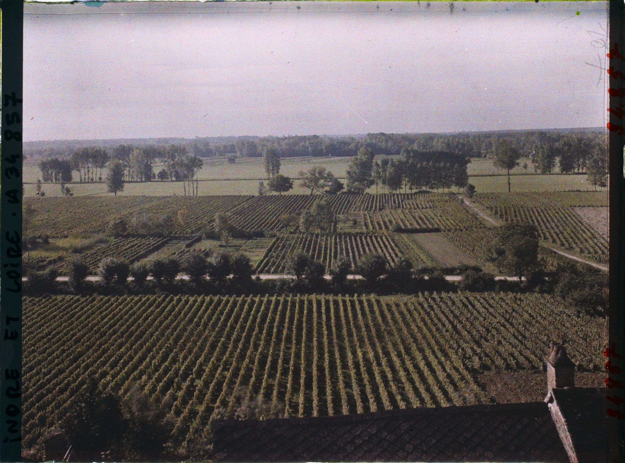 Image représentant Panorama sur les Vignobles