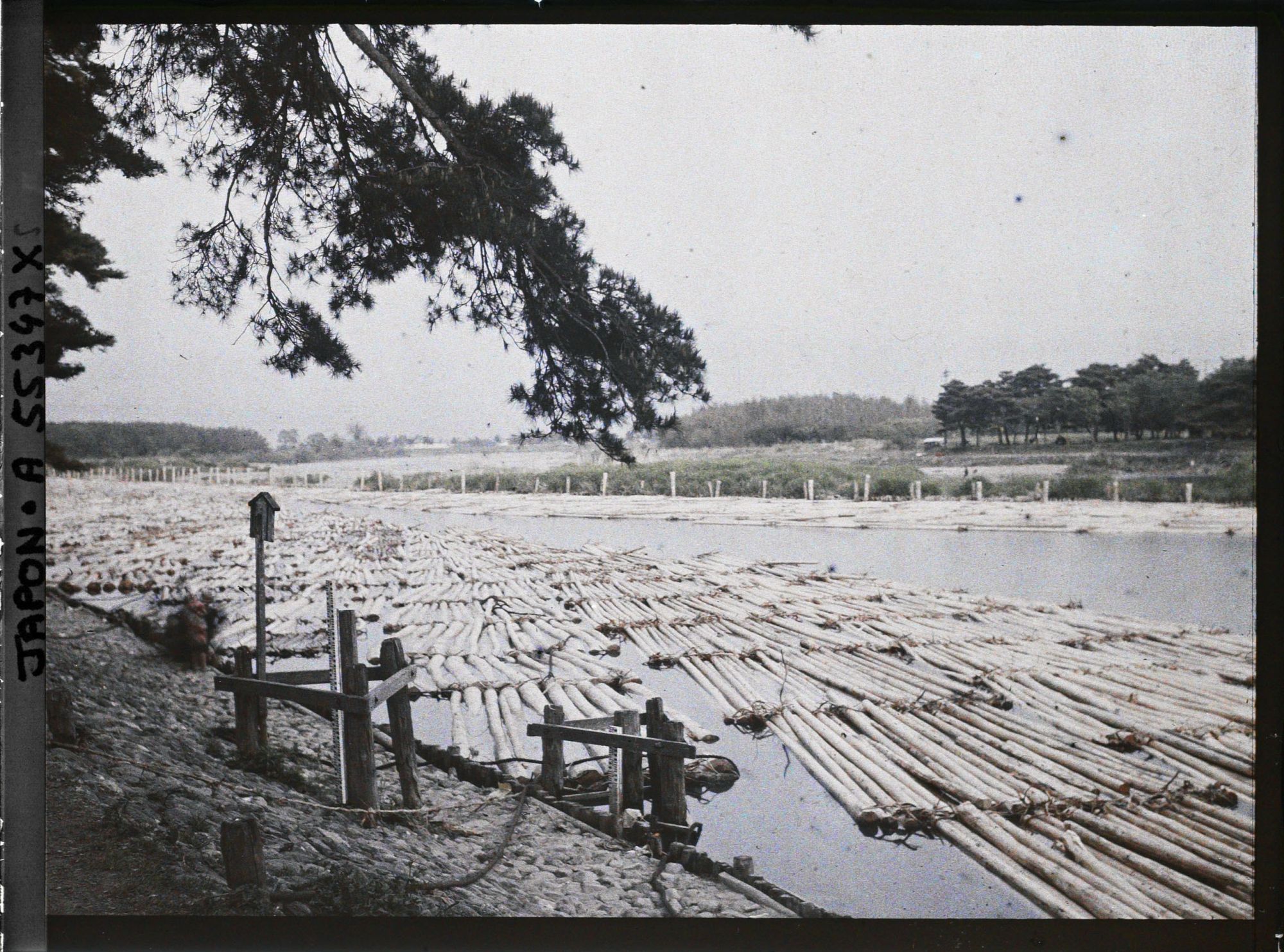 Image représentant Flottage sur la rivière Hozu