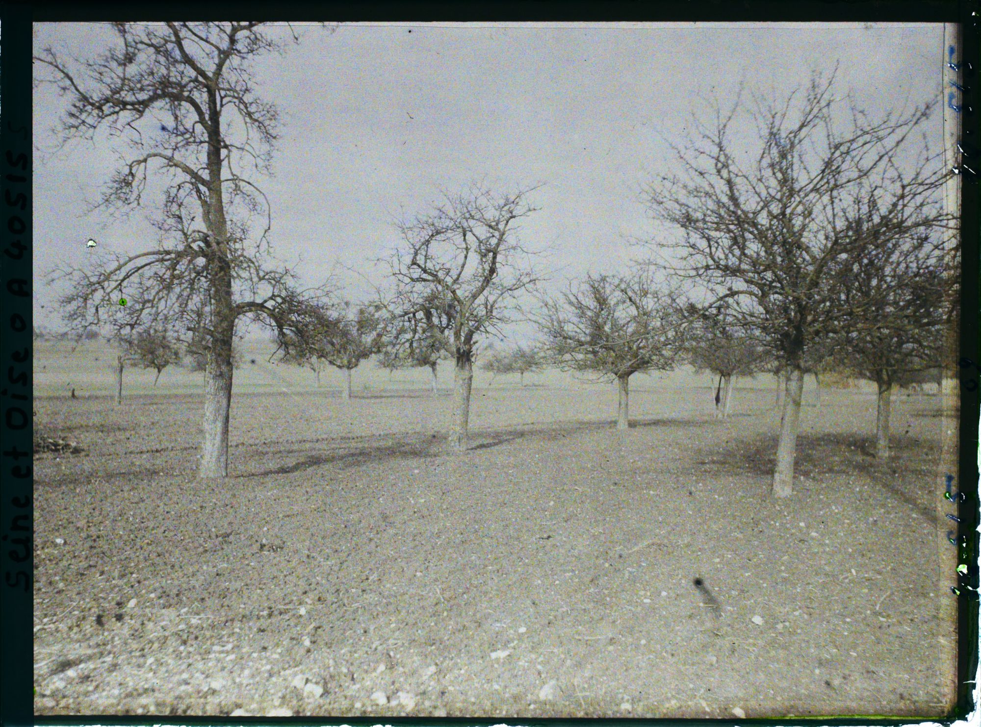 Image représentant France, Les Clayes, Champ et Pommiers