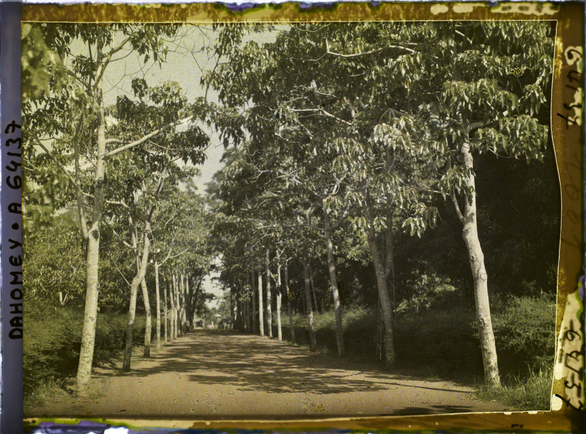 Image représentant Avenue de l'hôpital