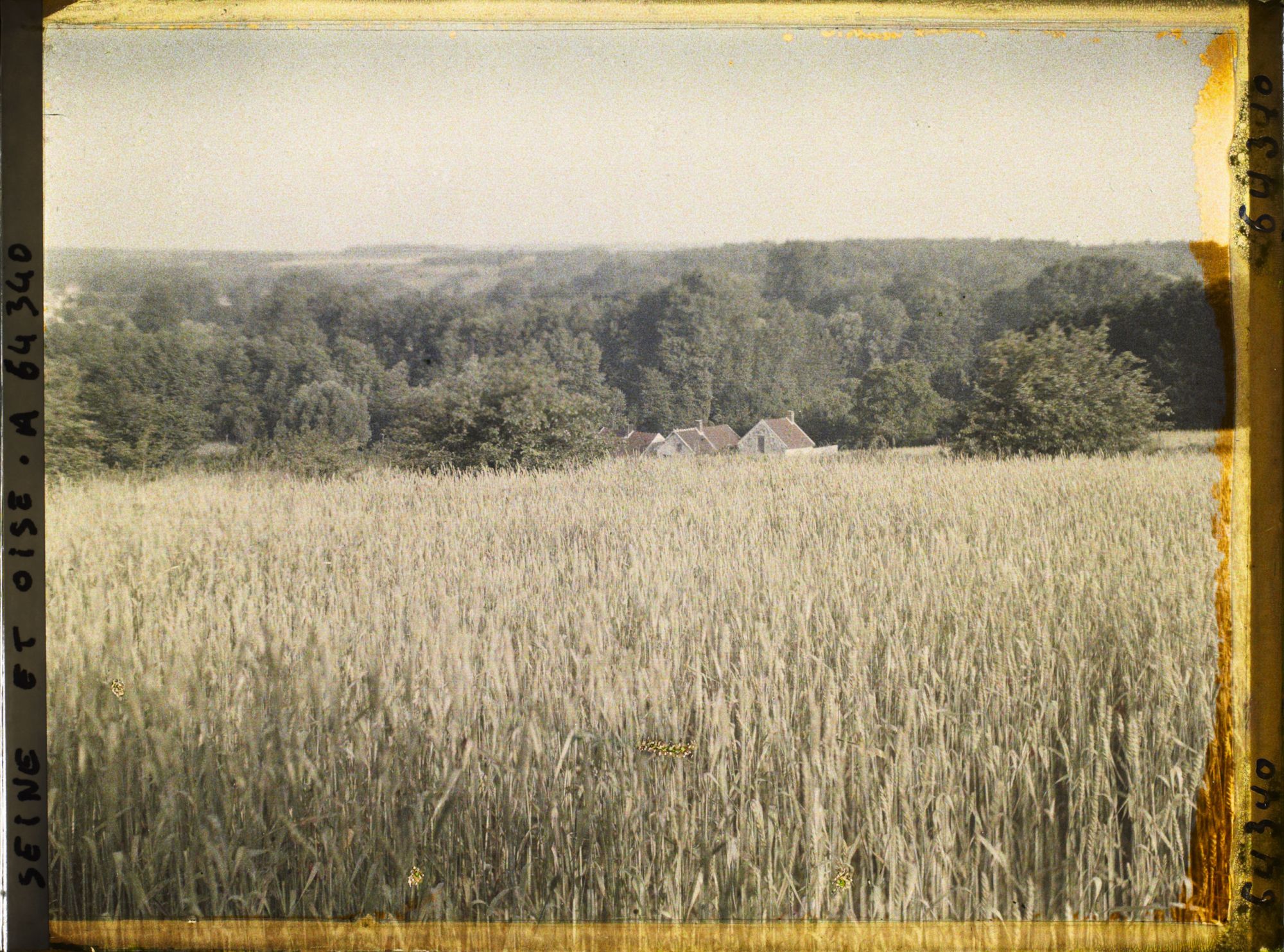 Image représentant Ile de France, Vallangoujard, Champ de blé dominant la Vallée