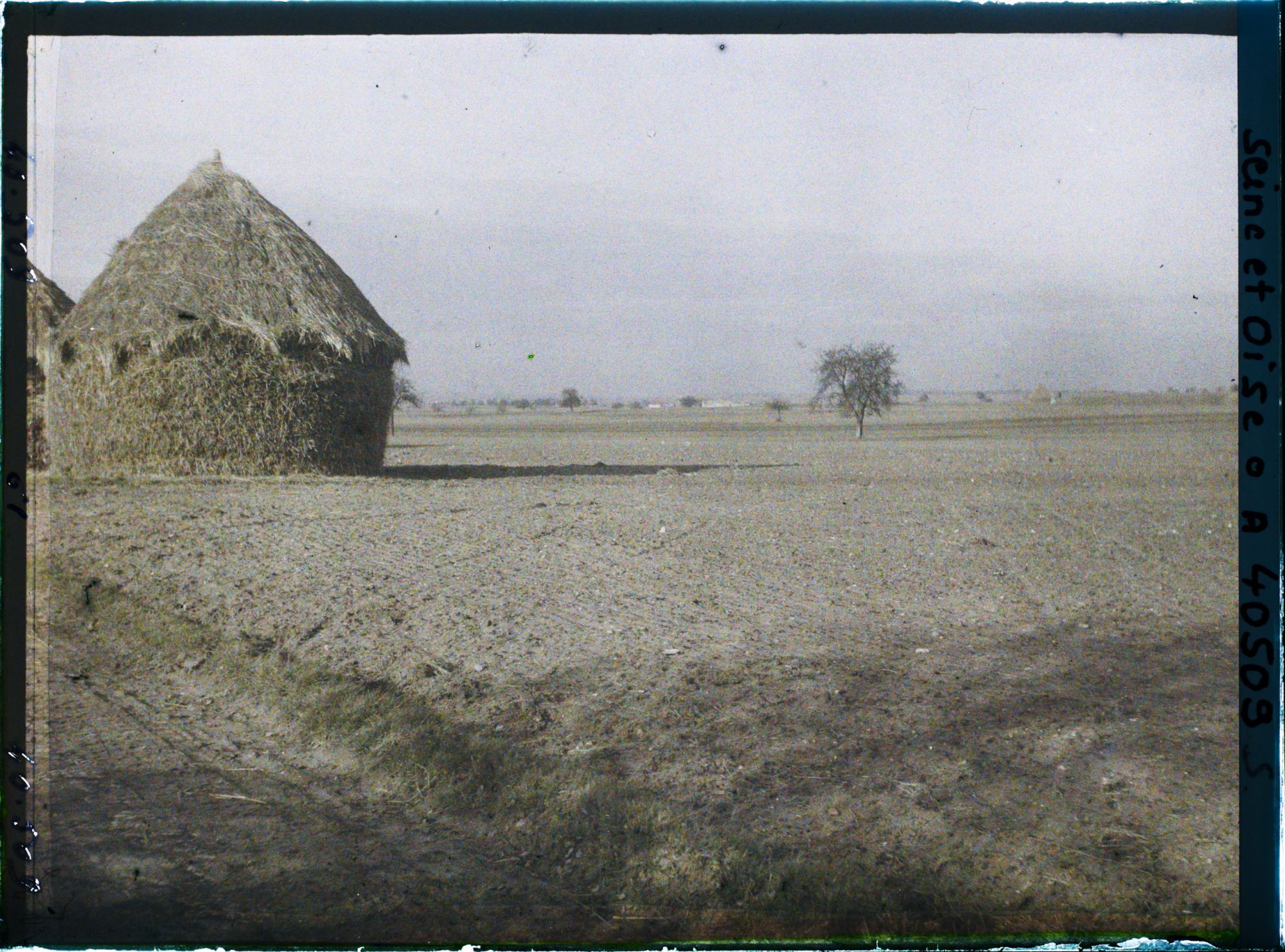 Image représentant France, Les Clayes, Champ de blé sur le bord de la grande route