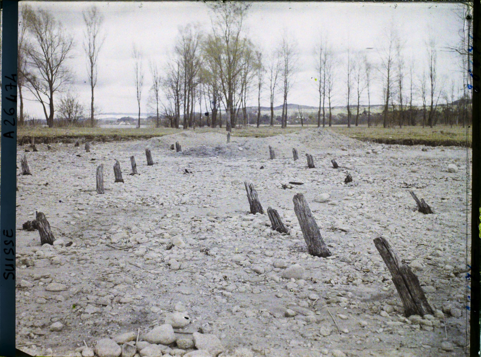 Image représentant Site palafittique préhistorique des Alpes, pieux en bois visibles lors de la baisse des eaux après la grande sécheresse de 1921