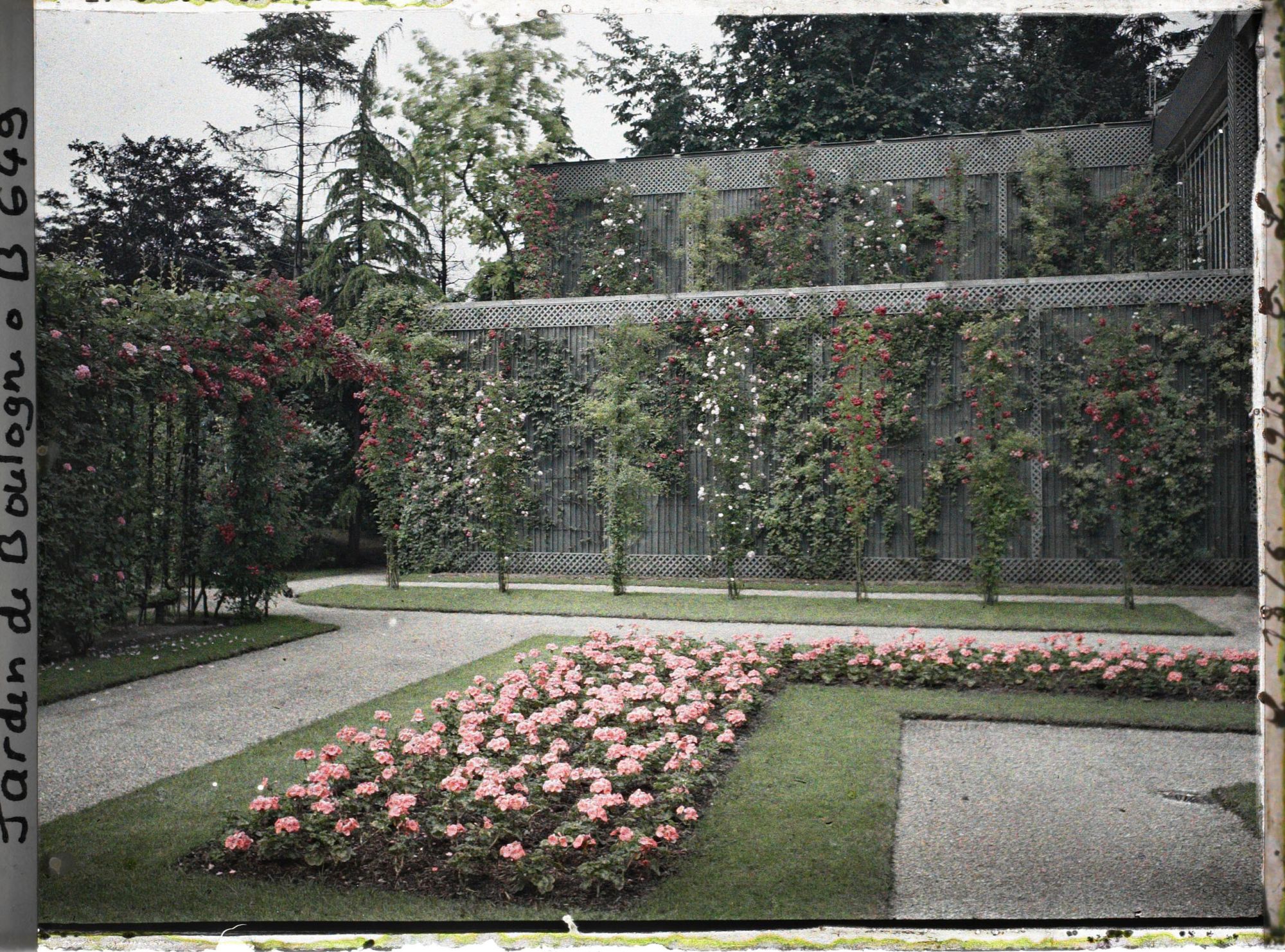Image représentant Parterre nord-ouest du jardin français, situé près de la serre et du verger-roseraie