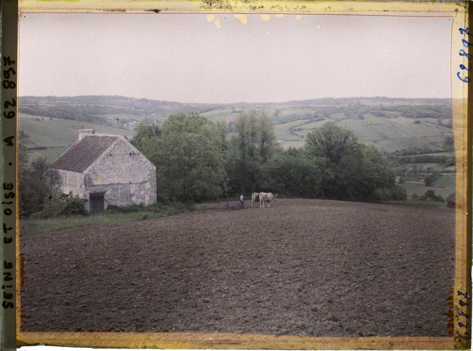 Image représentant Ile de France, Vetheuil, Champ ensemencé de betteraves