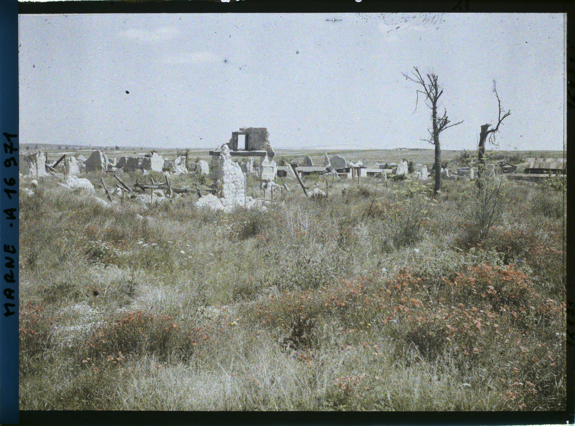 Image représentant France, Beine, Le Village de Beine Coquelicots au 1er plan