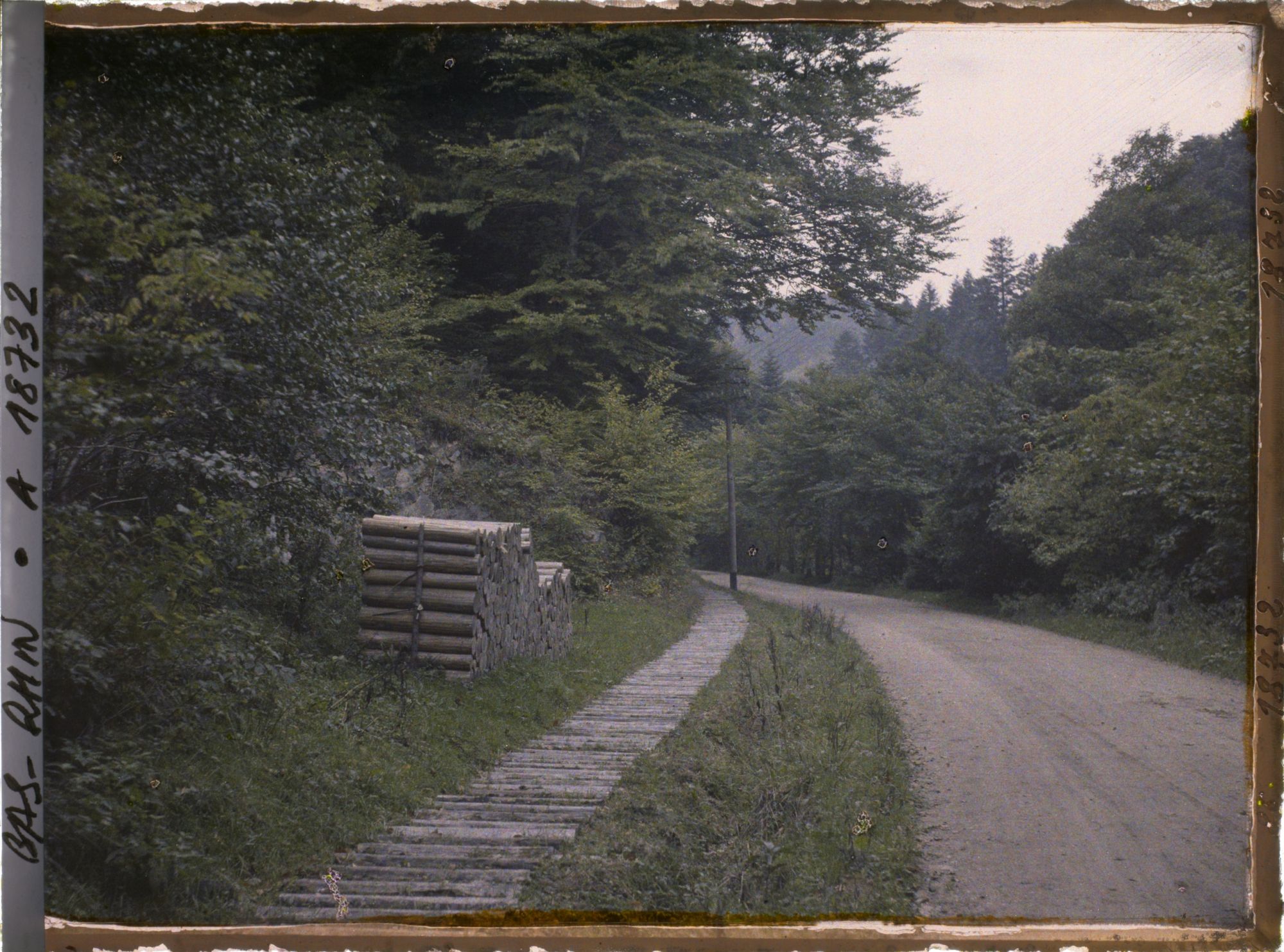 Image représentant France, La Schlitte avec un tas de bois au bord de la route