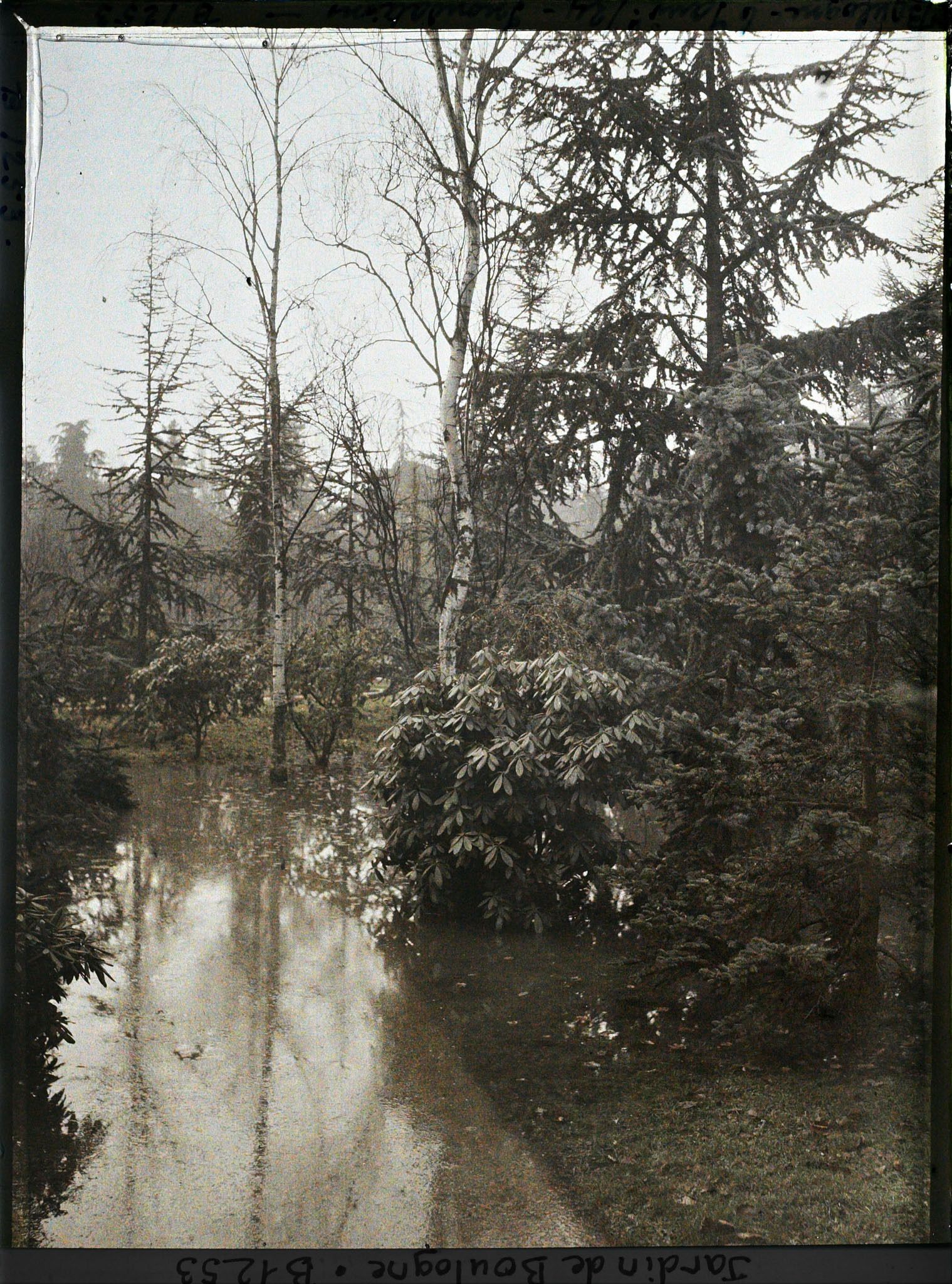 Image représentant inondation dans la forêt bleue
