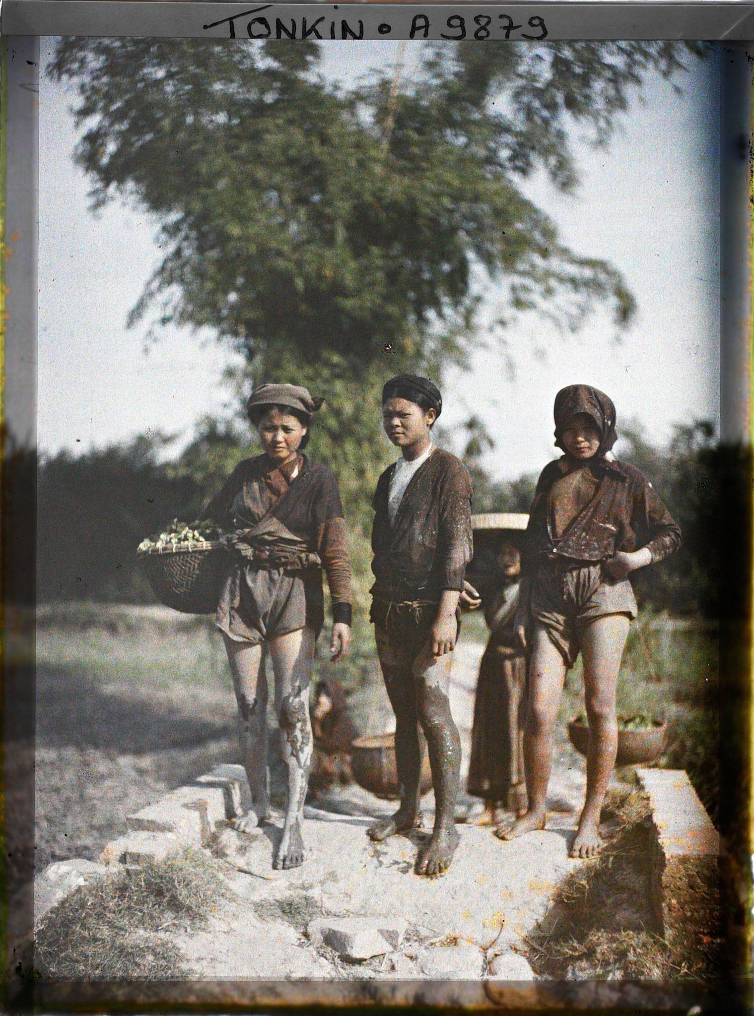 Image représentant Des jeunes filles revenant de la cueillette du liseron d'eau
