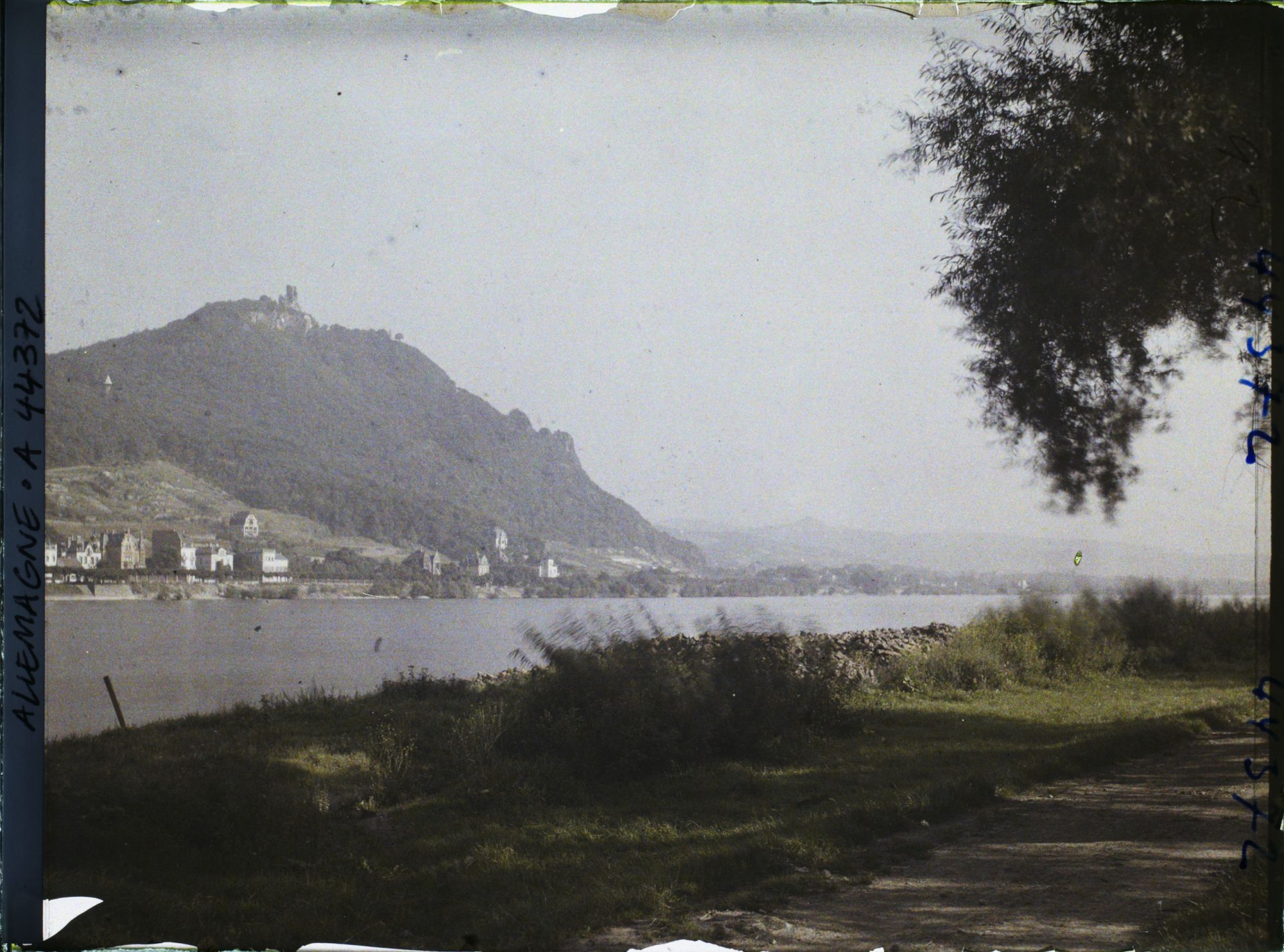 Image représentant Allemagne, Mehlem, Le Drachenfels vu de la rive gauche