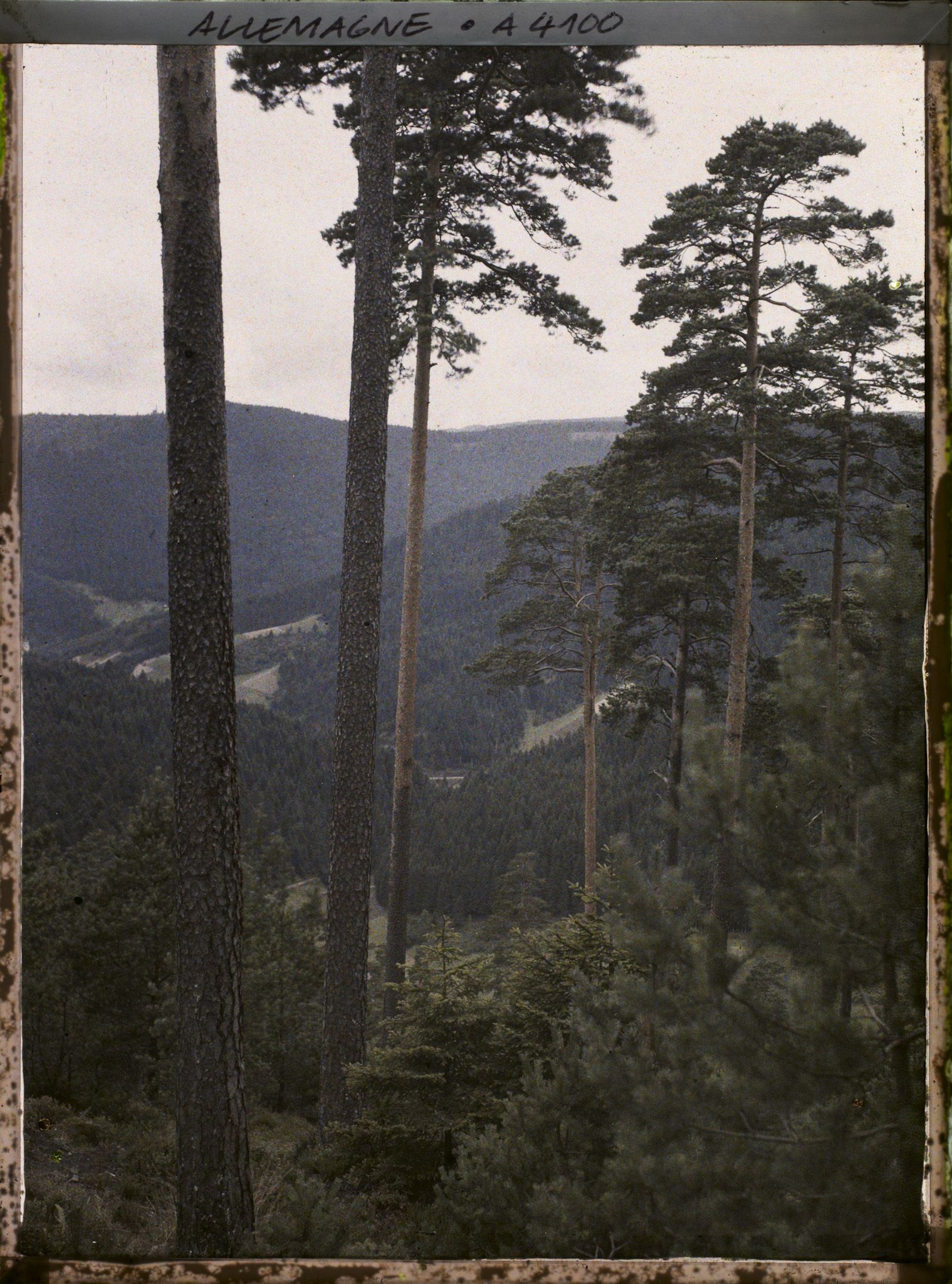Image représentant Bavière, Baden-Baden, Environs de Baden-Baden (Forêt noire)