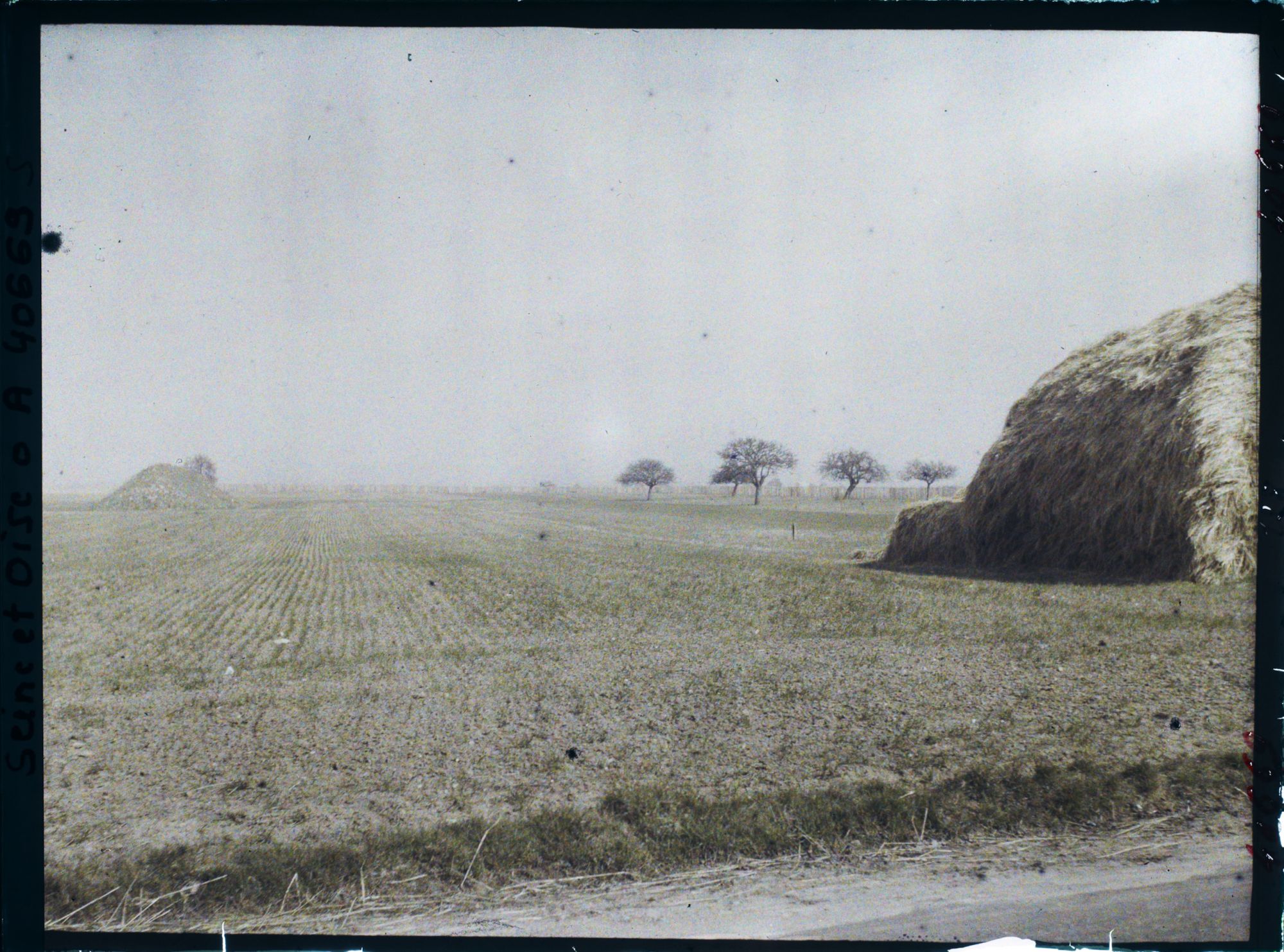 Image représentant France, Les Clayes, Champs de blé sur la route de Neauphle le Chau
