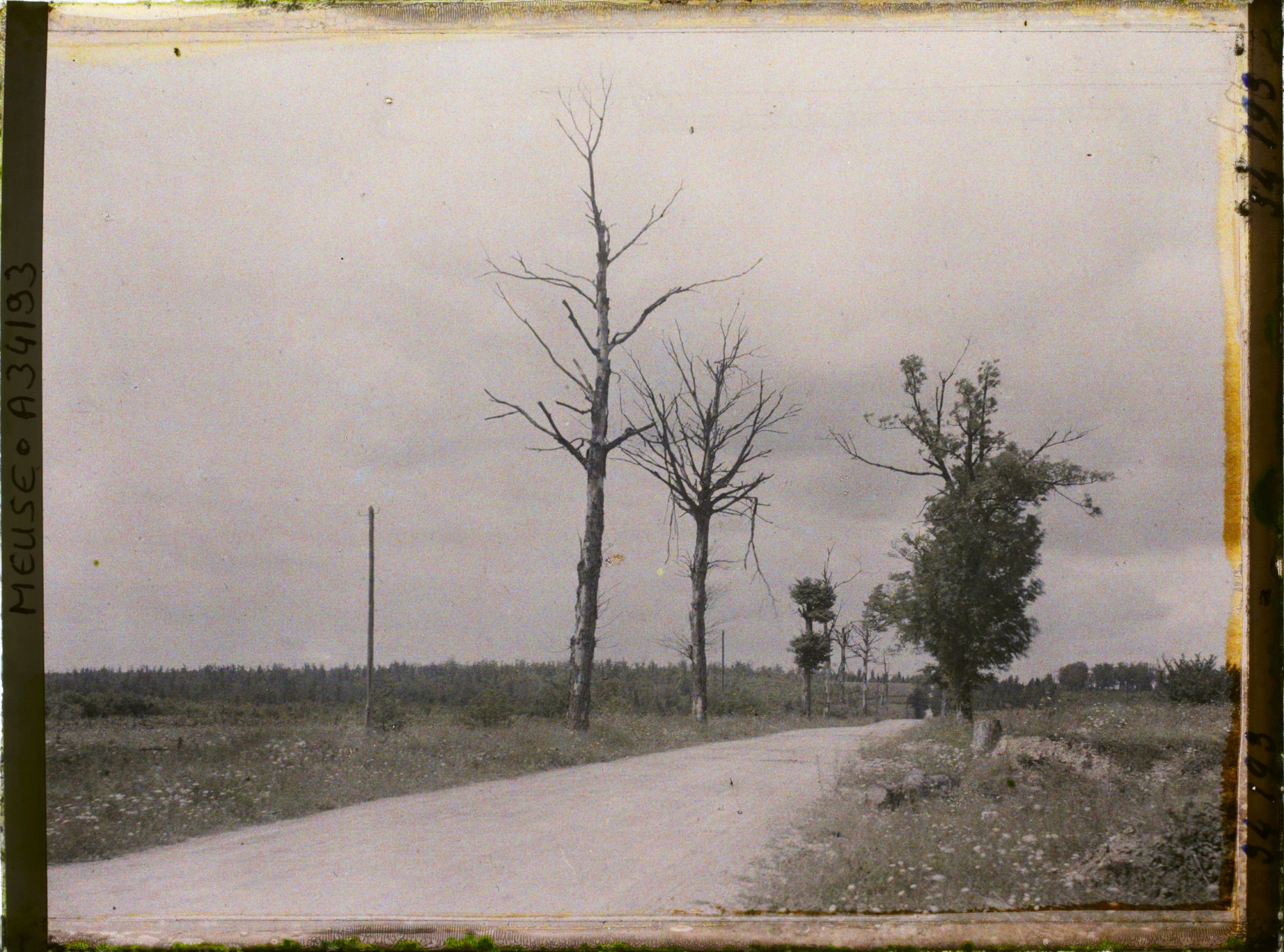 Image représentant France, Bois Brûlé, Aspect de la route de St Mihiel à la hauteur de la Tête-à-Vache