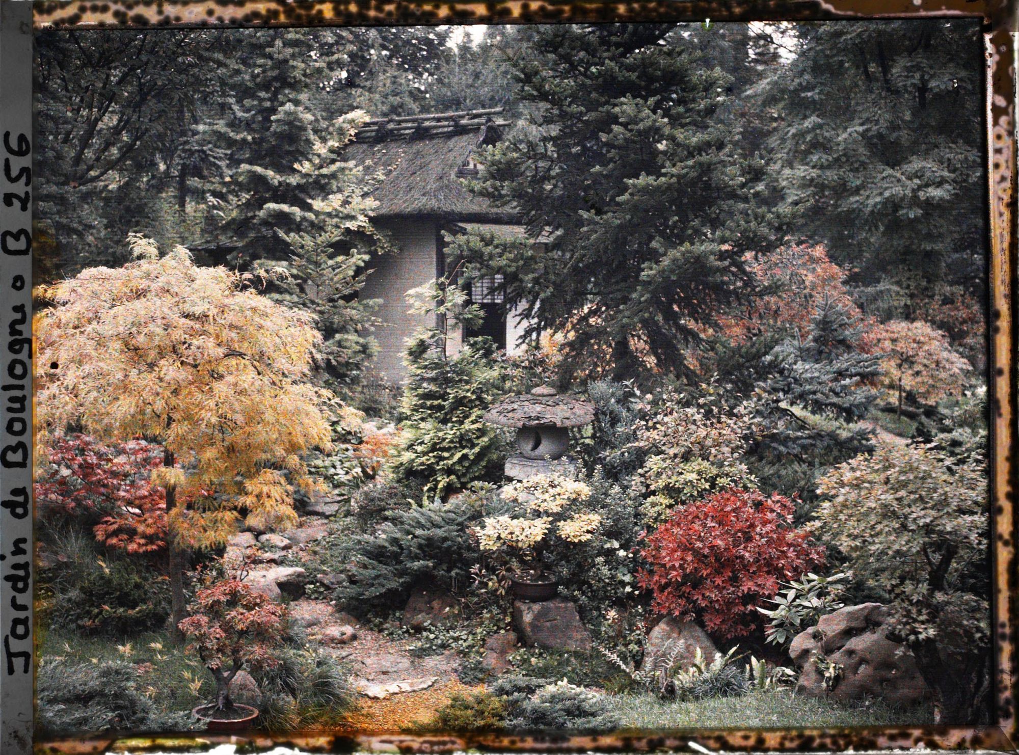 Image représentant Pas japonais menant à l'ouest de la maison de thé cachée par la verdure rougeoyante du " village japonais "