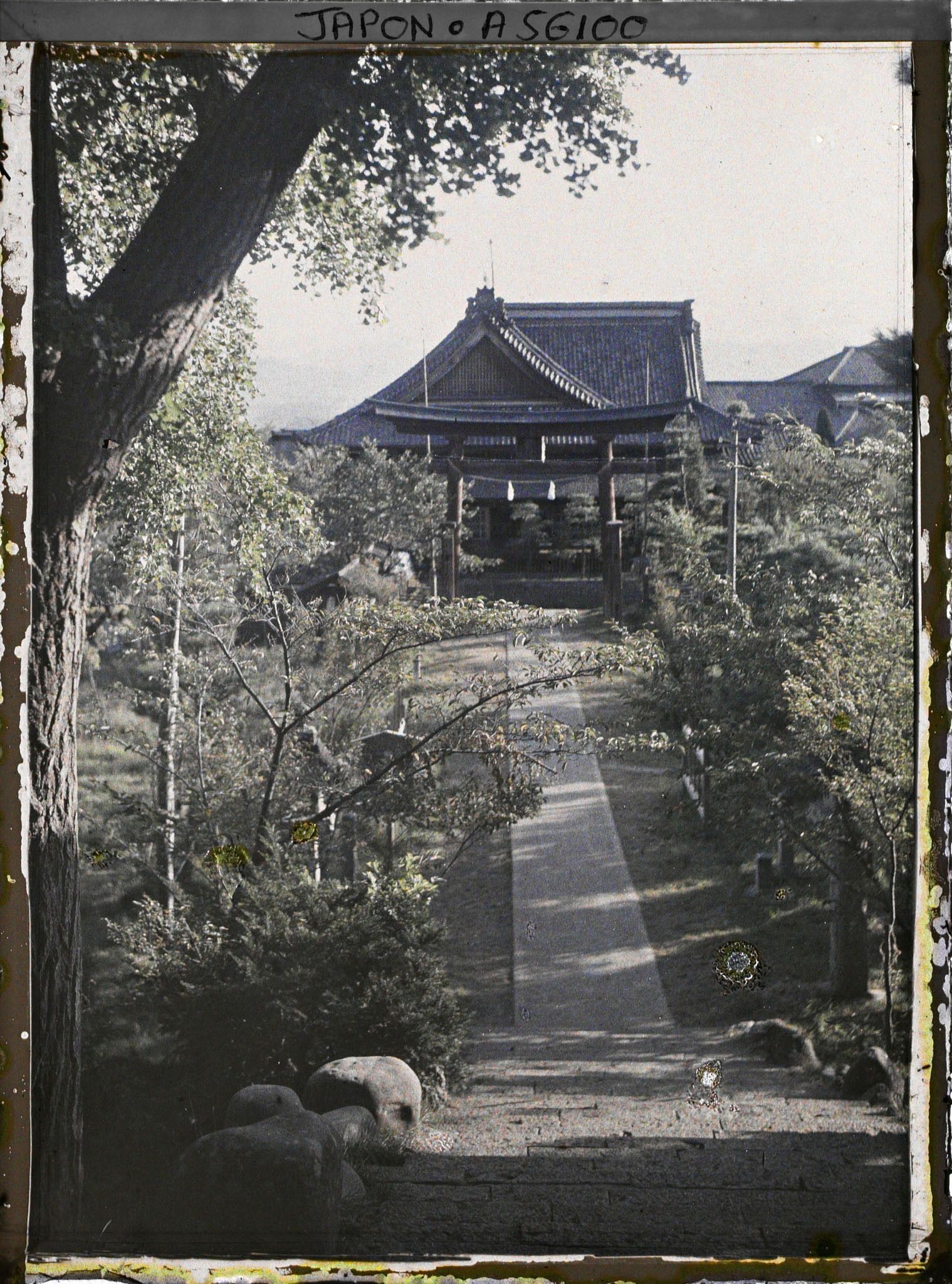 Image représentant Allée et torii menant vers un temple ou un sanctuaire